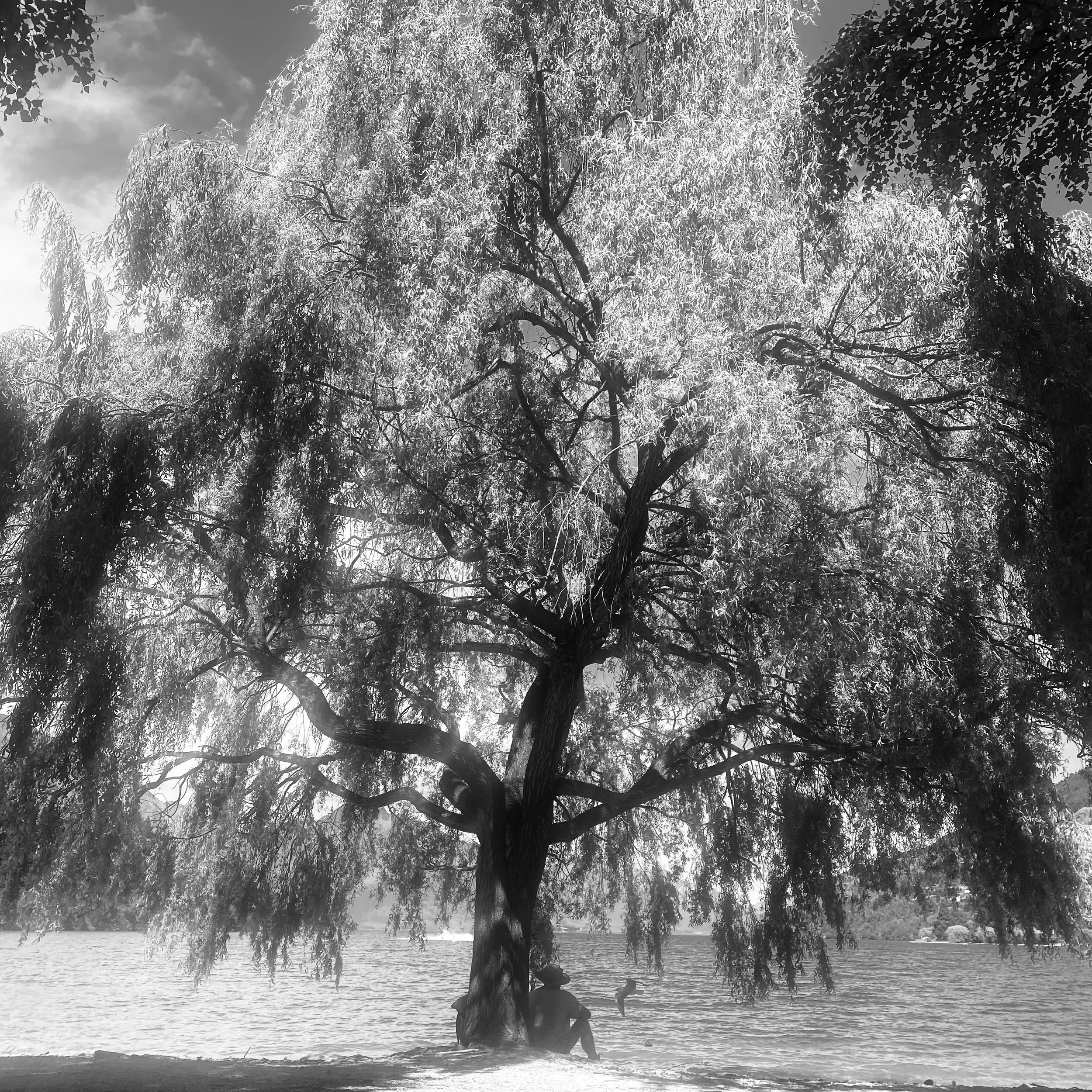 What Are You Calling In by Being Here?