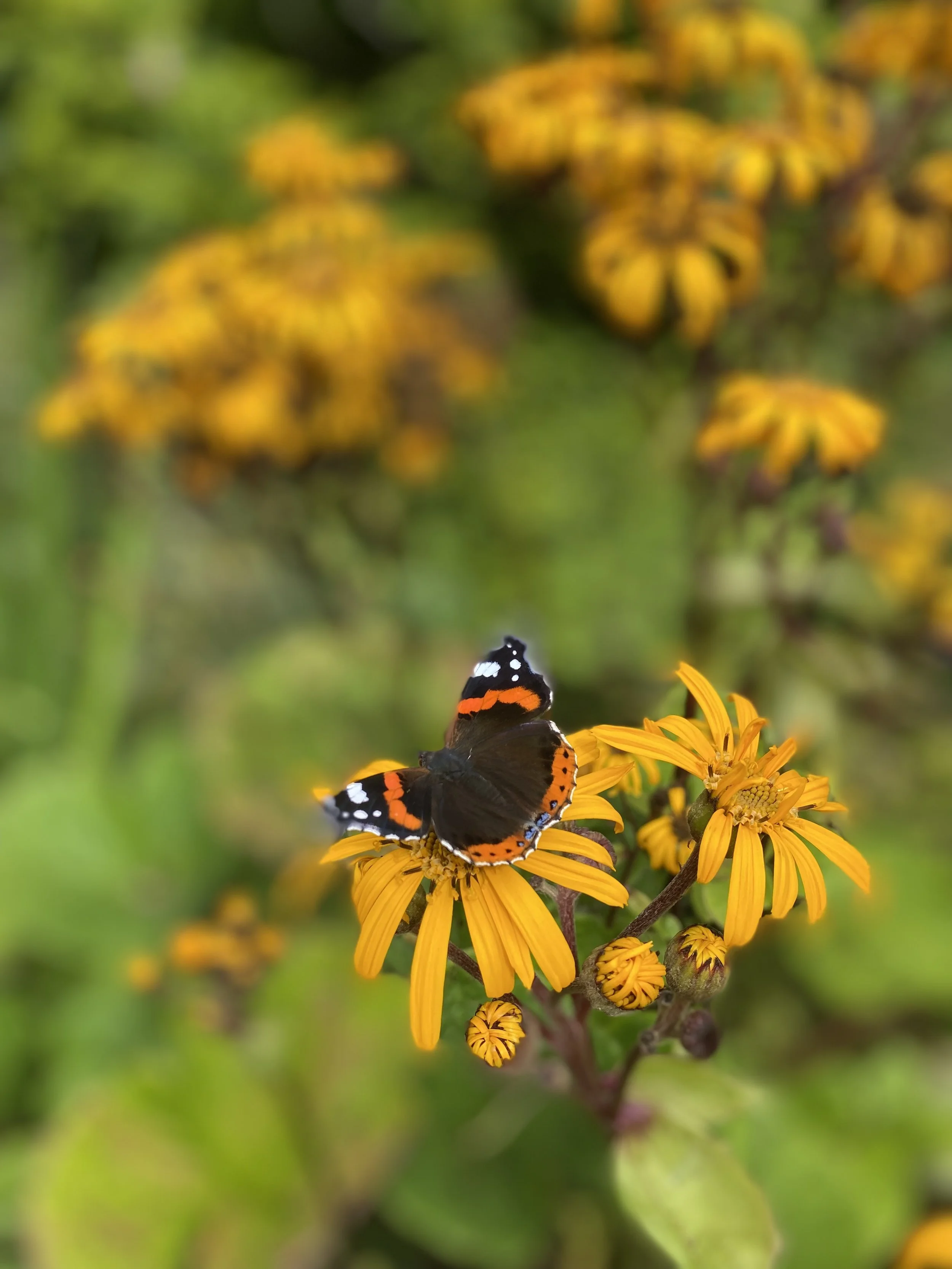 The Power of Going With the Slow