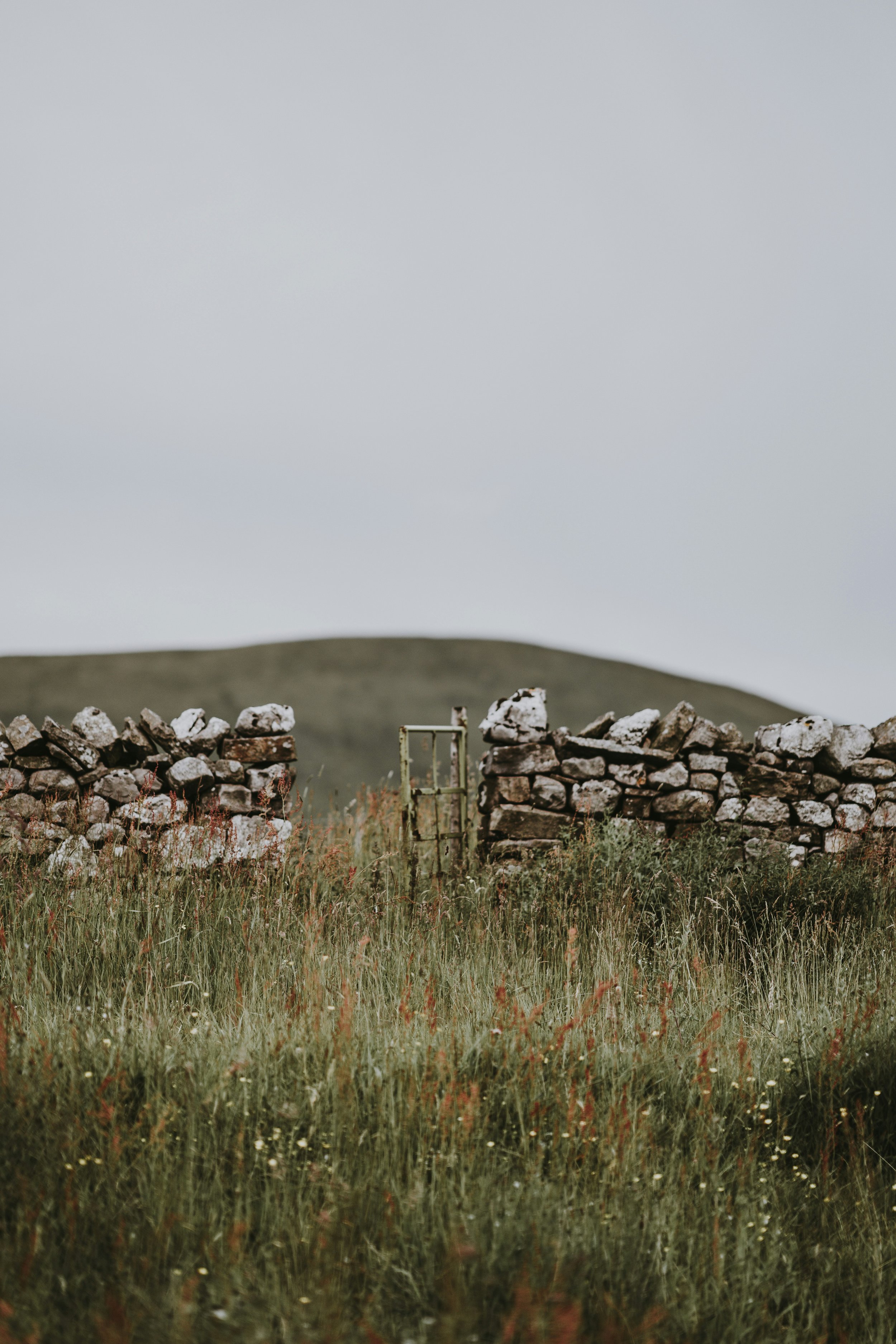A grassy field with wildflowers in front of a stone wall and an old metal gate, with rolling hills in the background under an overcast sky.