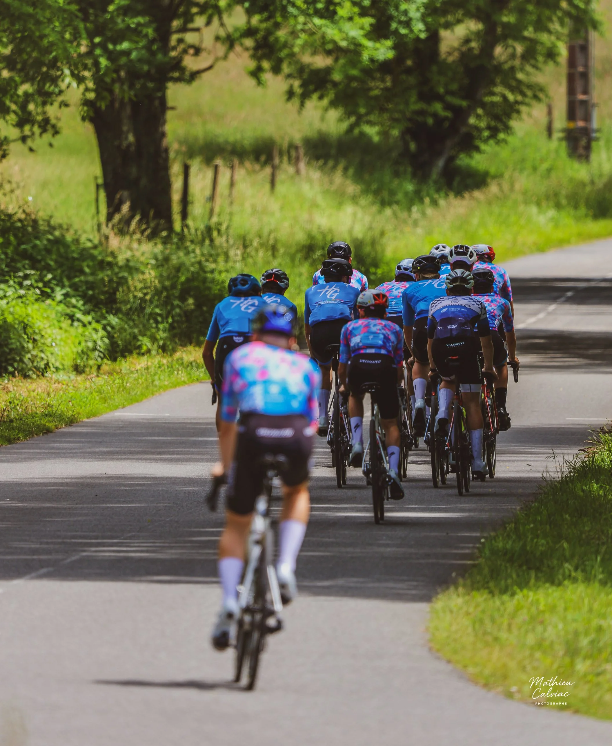 Groupe de cyclistes roulant sur un chemin pavé bordé d'arbres et de verdure, en plein jour.