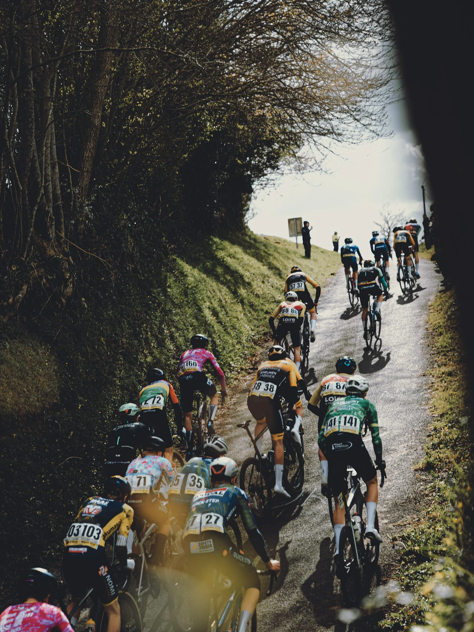 Groupe de cyclistes participant à une course sur une route de campagne bordée d'arbres, avec quelques spectateurs et un panneau de signalisation.