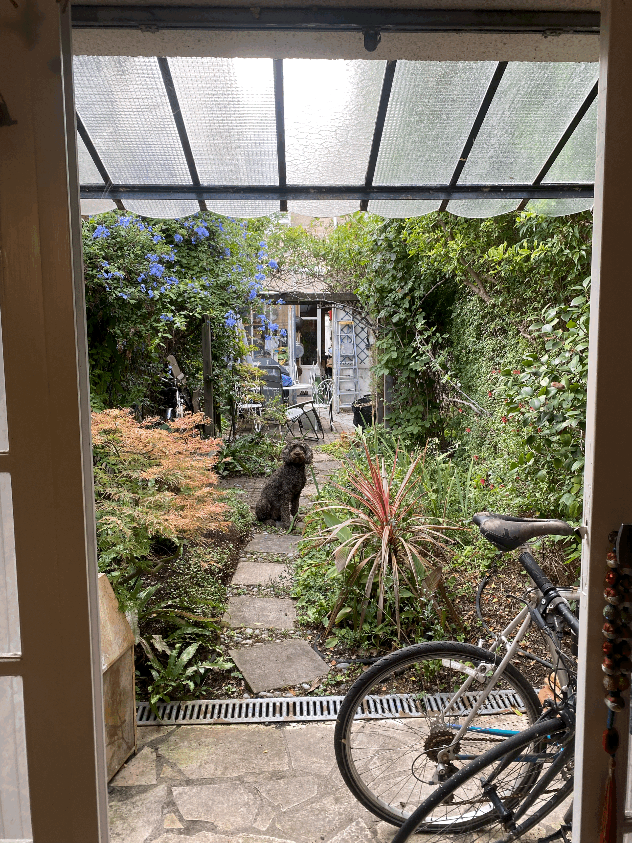 The Language of Scent: About Rachel Myers Moore