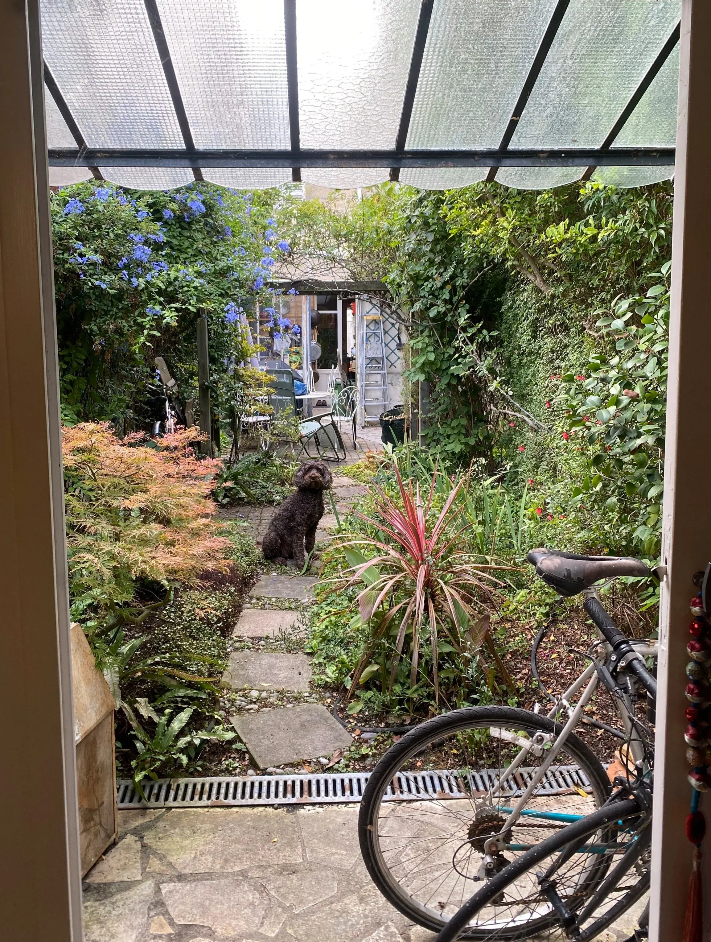 A serene, plant-filled courtyard leads to the LVEN perfume laboratory. This living garden inspires our botanically driven fragrances, garden to bottle.