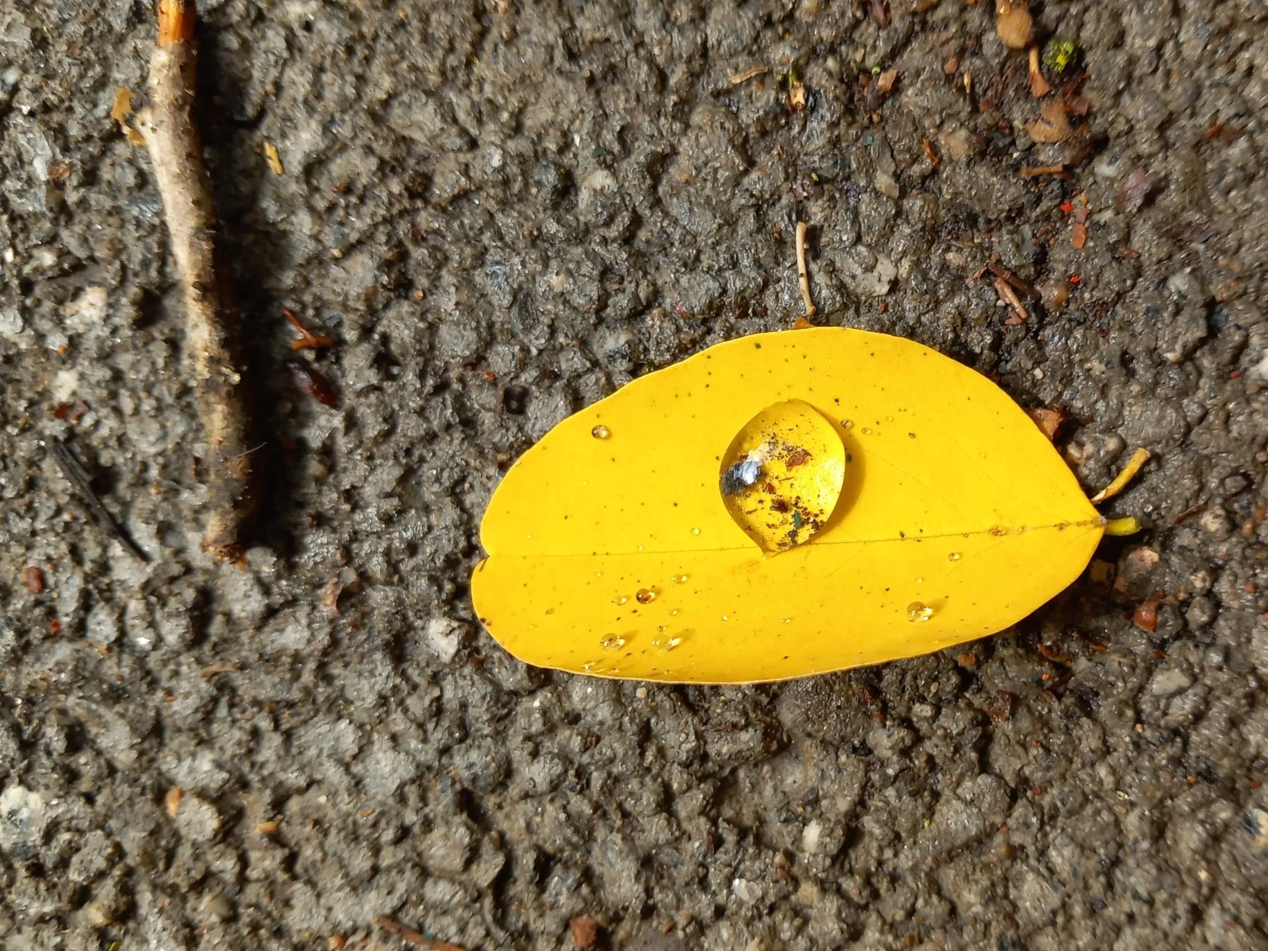 Harvest – die Feier des Moments