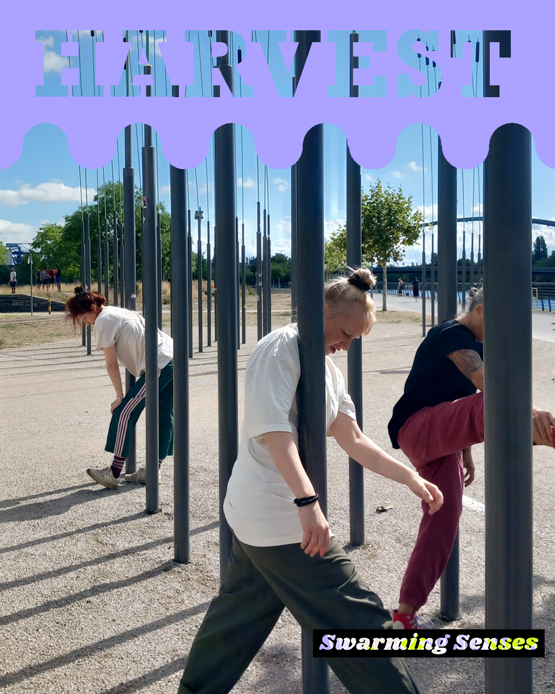Contact in the In-Between – ein Experiment mit Contact Improvisation – AUG