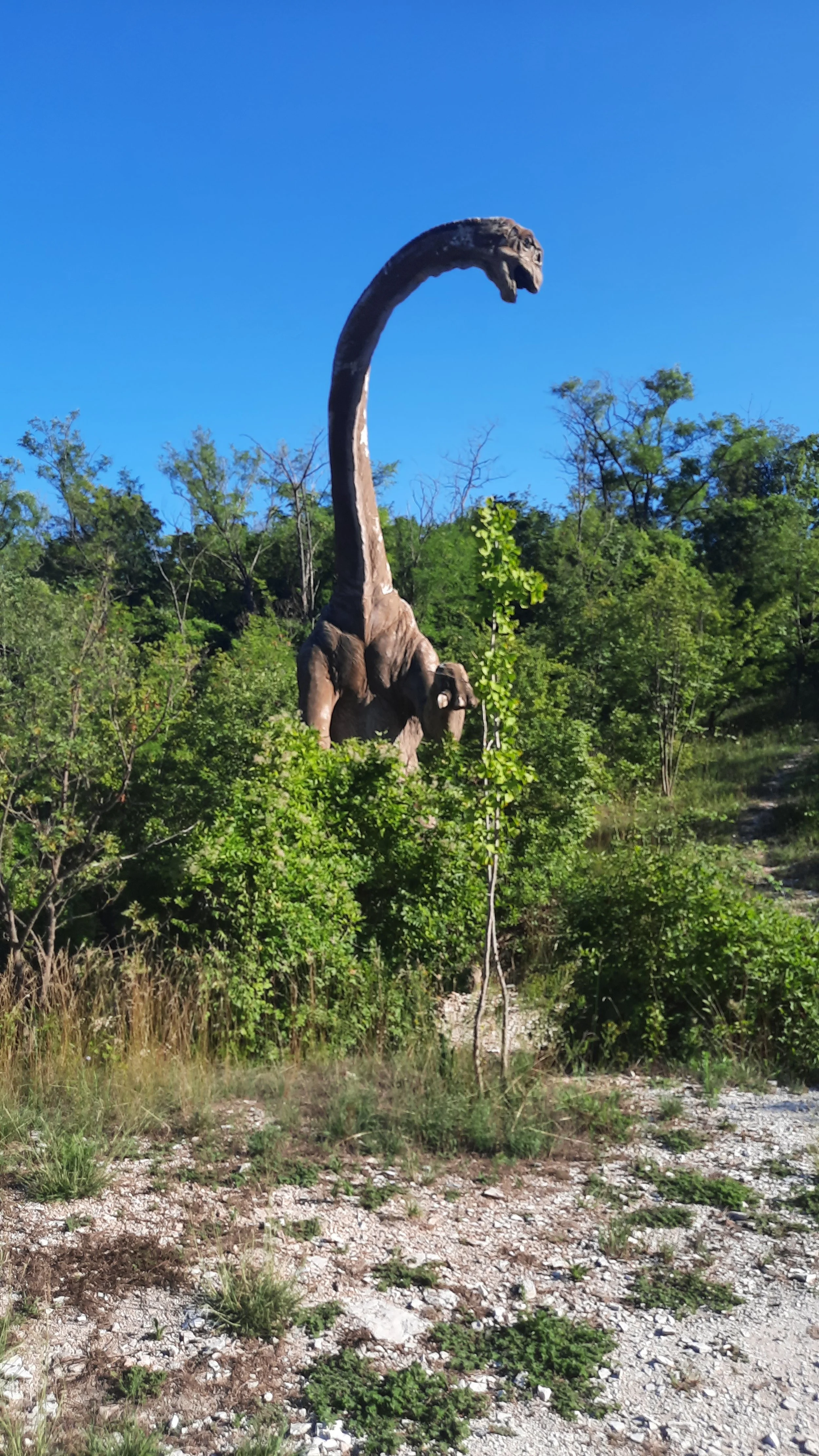 Un dinosaure Brachiosaure dans la nature, entouré d'arbres verts et de ciel bleu