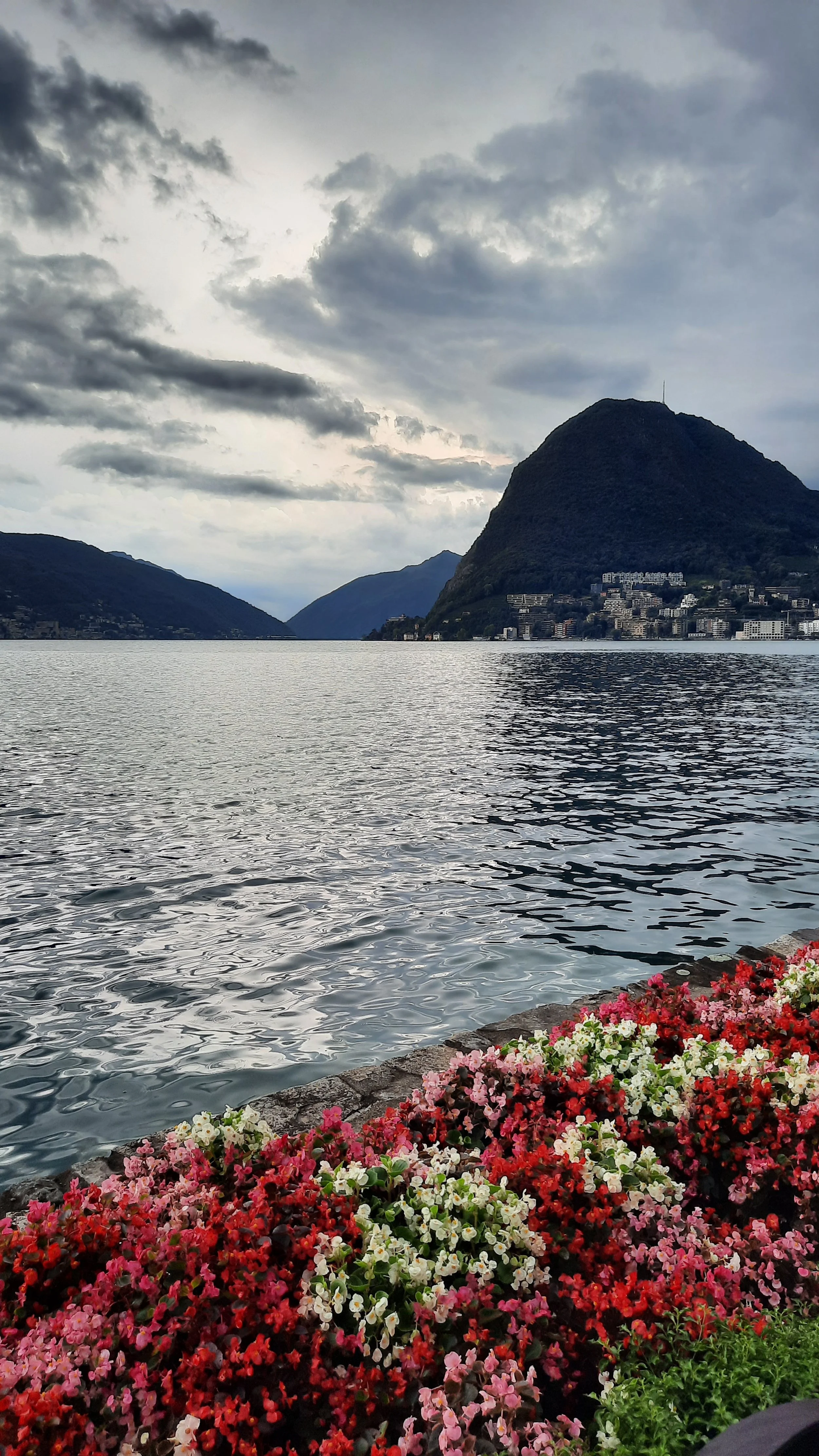 Vue du lac avec des montagnes en arrière-plan et un ciel nuageux, fleurs colorées au premier plan.