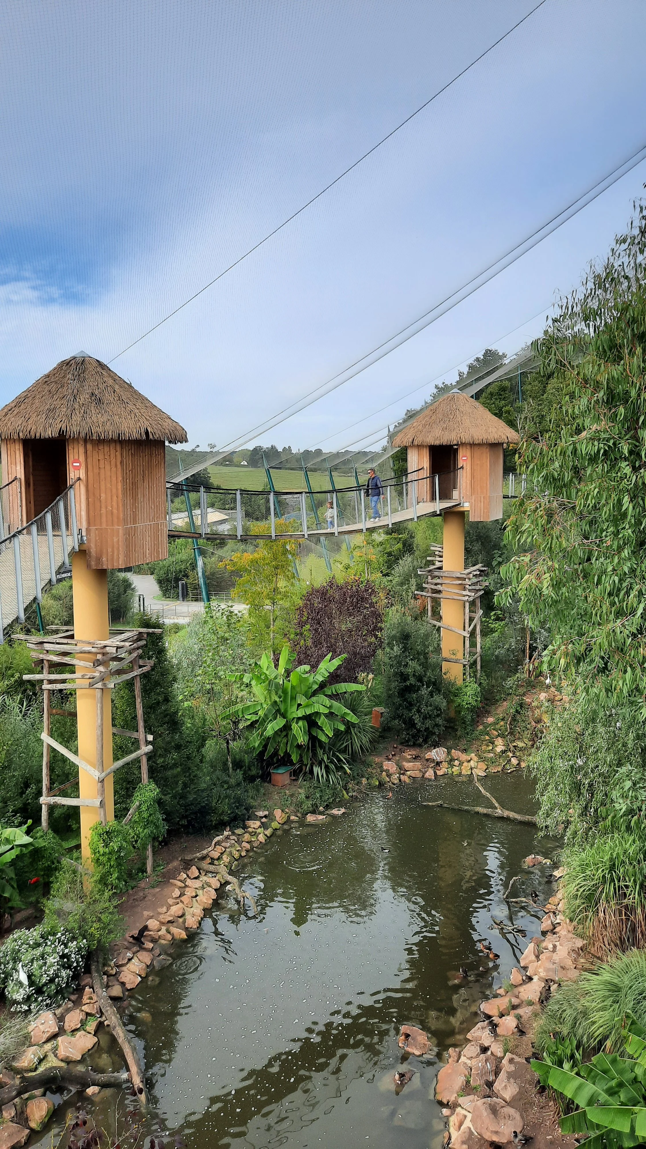 Une passerelle suspendue en bois avec deux cabanes en toit de chaume, au-dessus d'un jardin avec un étang, entouré de verdure et de plantes.