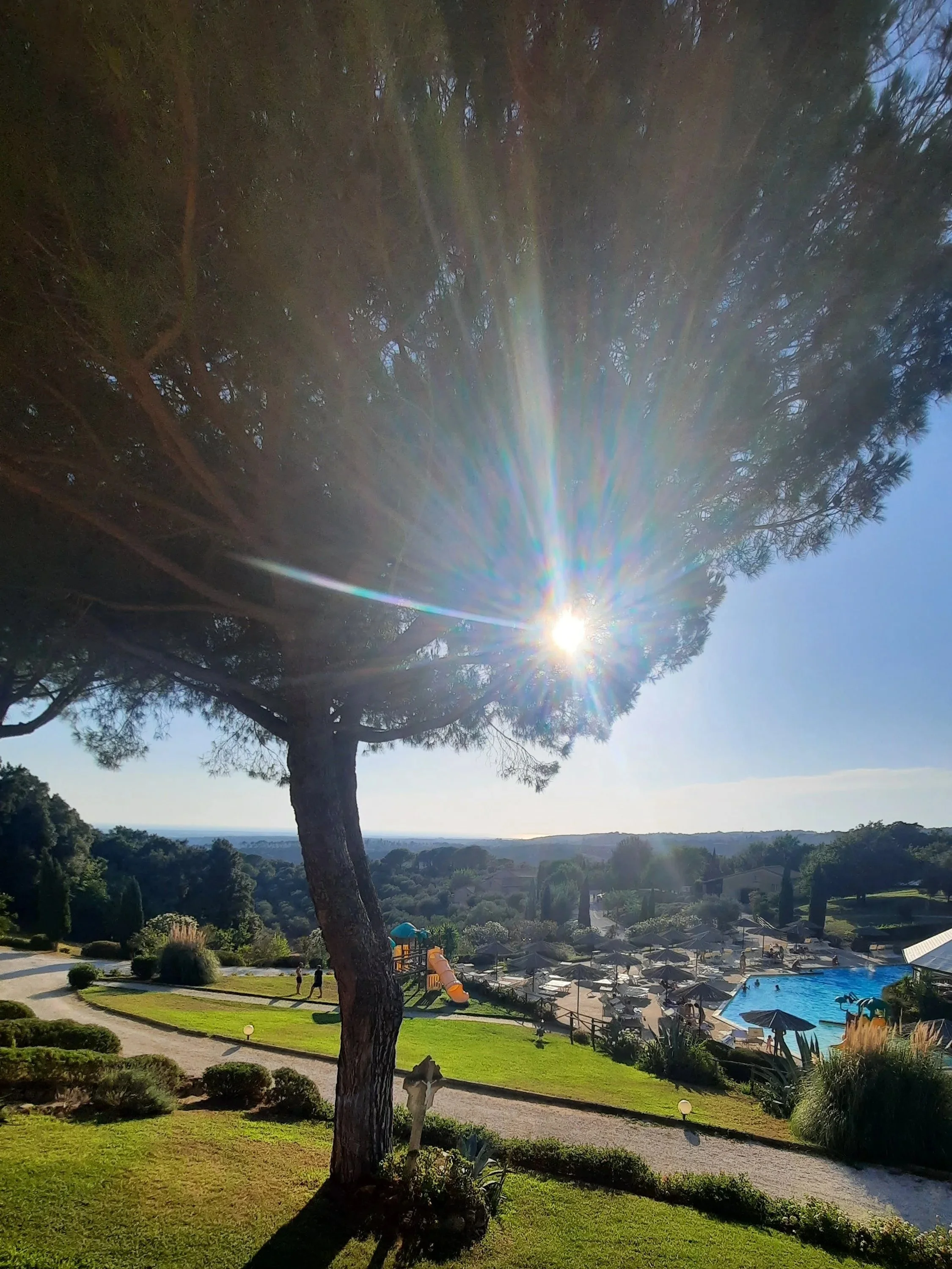 Un arbre dans un parc avec un terrain bien entretenu, un sentier, une piscine avec des parasols et des chaises longues, un toboggan pour enfants, et un horizon avec des collines sous un ciel ensoleillé.