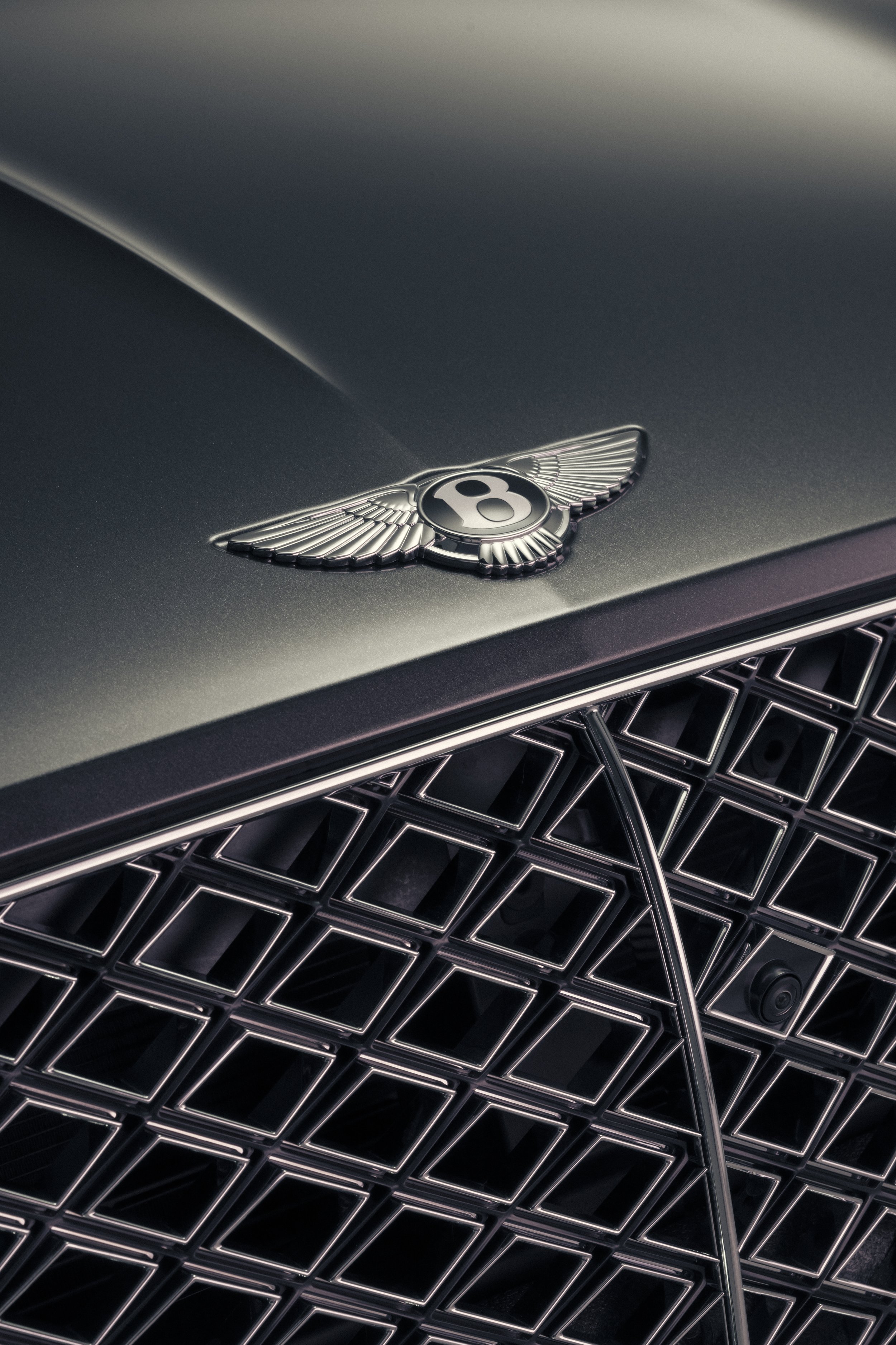 Close-up of Bentley logo on the hood of a luxury car, with a detailed front grille below.