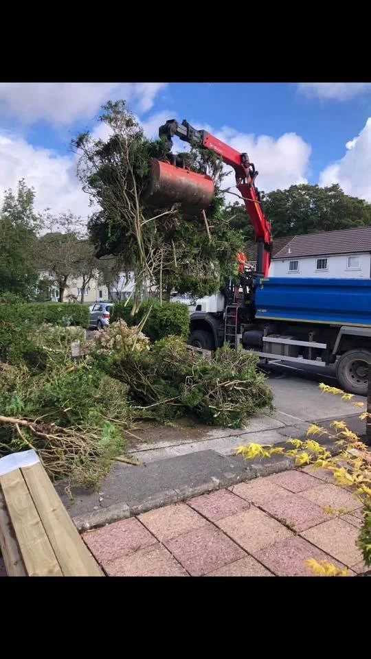 A tree being removed by a truck with a large robotic arm in a residential area, with debris on the sidewalk.