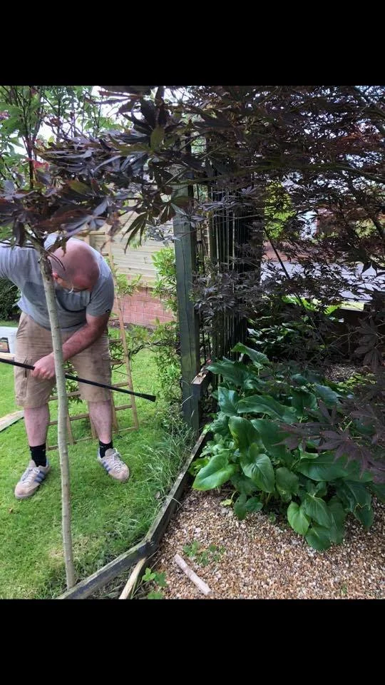 A man working in a garden with various greenery and a metal fence, partially obscured by dark purple leaves in the foreground.