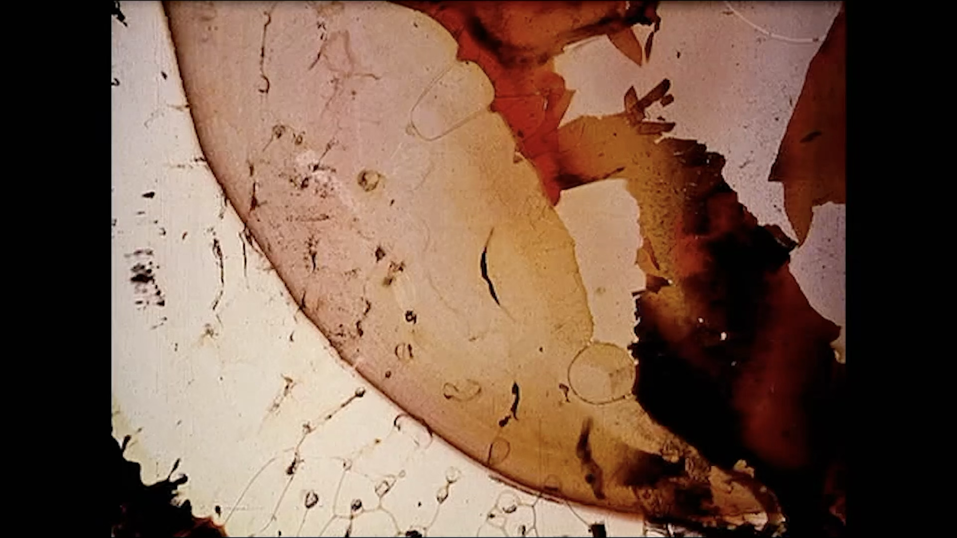 Rather Than Fall (2021)