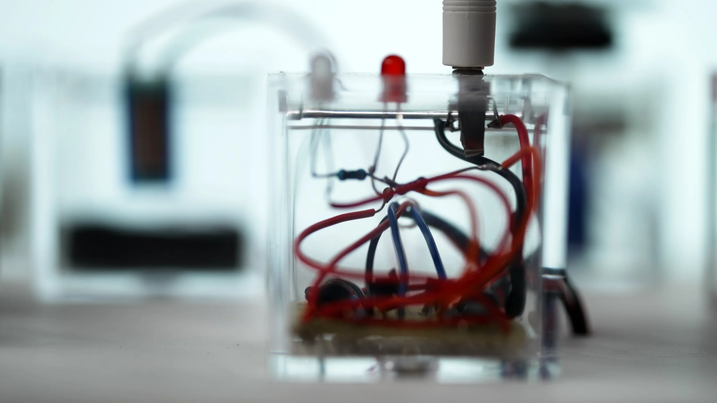 No one is an island Riccardo Tesorini Close-up of a transparent box containing tangled red, black, and blue wires connected to electronic components, with blurred electronic devices in the background. sound installation