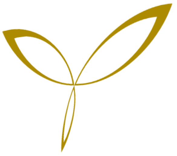 www.tondaart.com