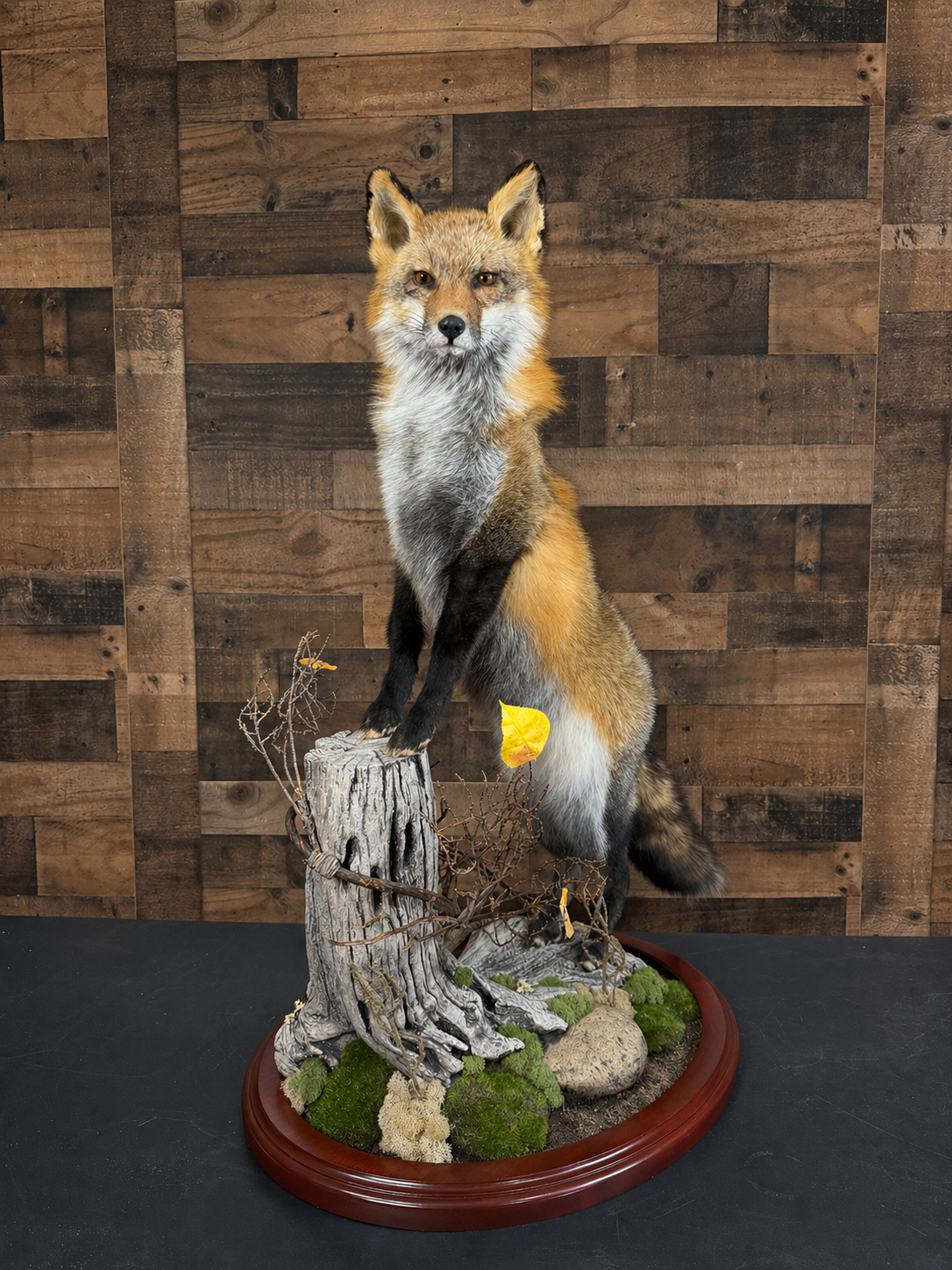 18FF30CA-F046-4AD8-A09F-7A3E14C76873.png