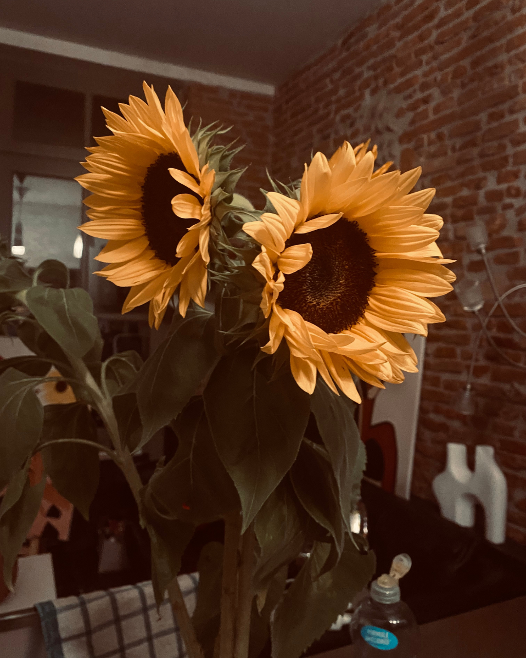Deux tournesols jaunes dans un vase en intérieur avec un mur en brique rouge en arrière-plan.