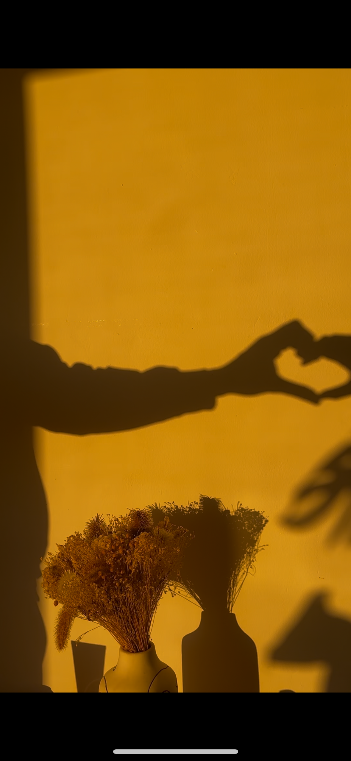 Ombres de mains formant un cœur, avec des vases contenant des fleurs sur une surface, devant un mur orange.