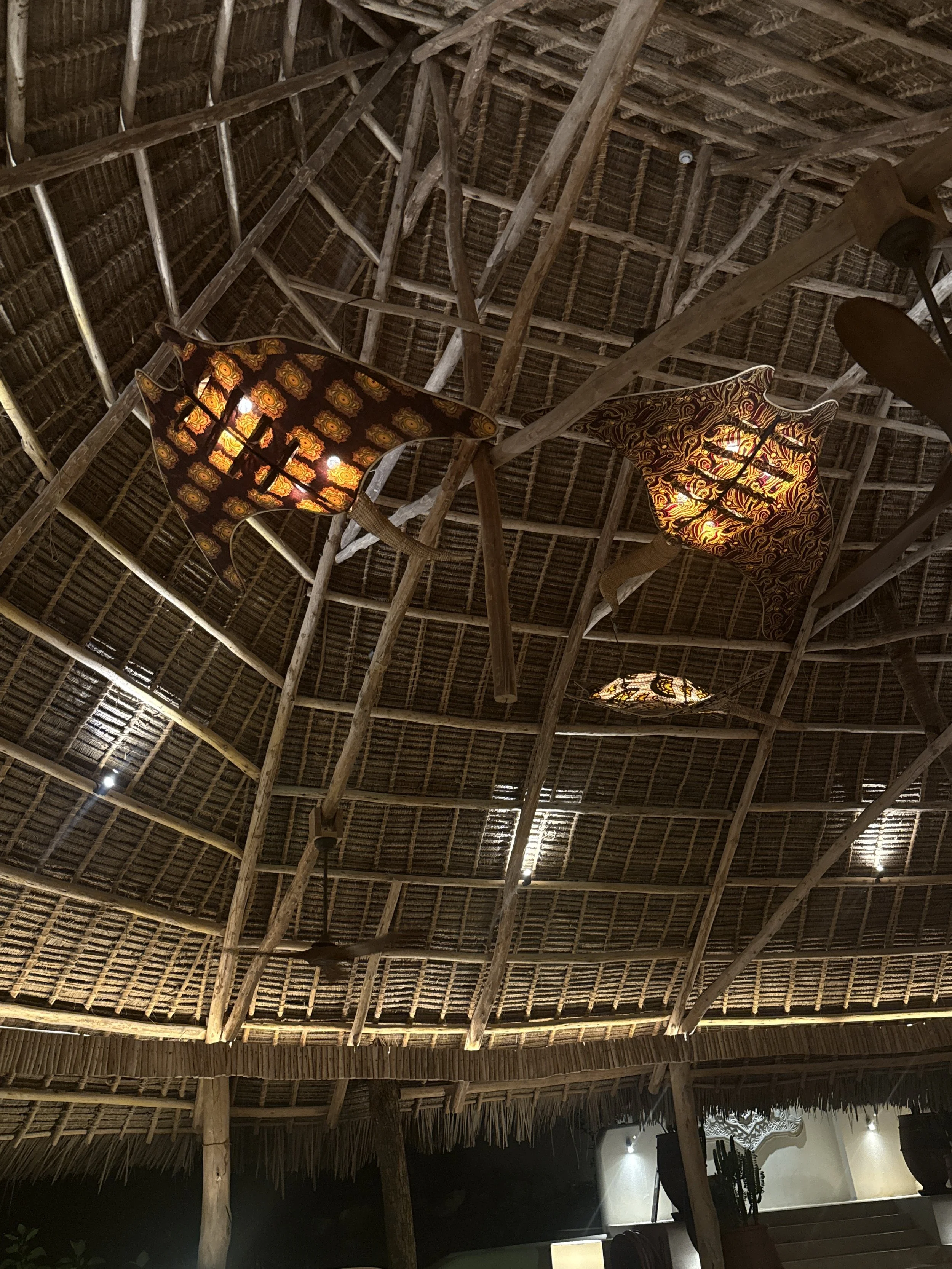 Thatched roof ceiling with hanging decorative lamps and potted plants in a tropical or beachside setting.