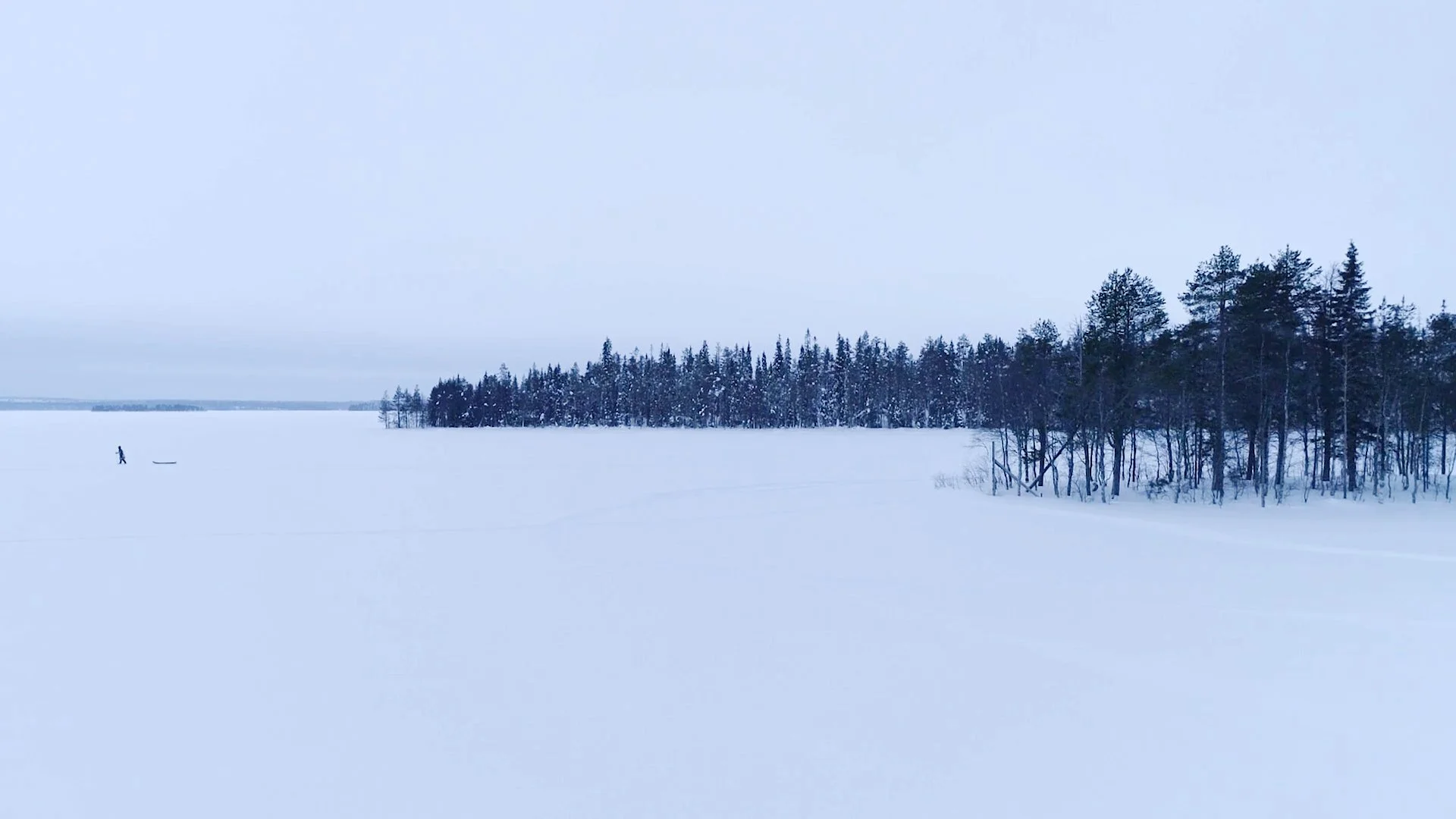 A snowy landscape with a distant forest of tall, dark evergreen trees on the right side and an open snow-covered field extending to the horizon on the left. The sky is overcast, and a person can be seen in the distance near the left edge, possibly walking or skiing.