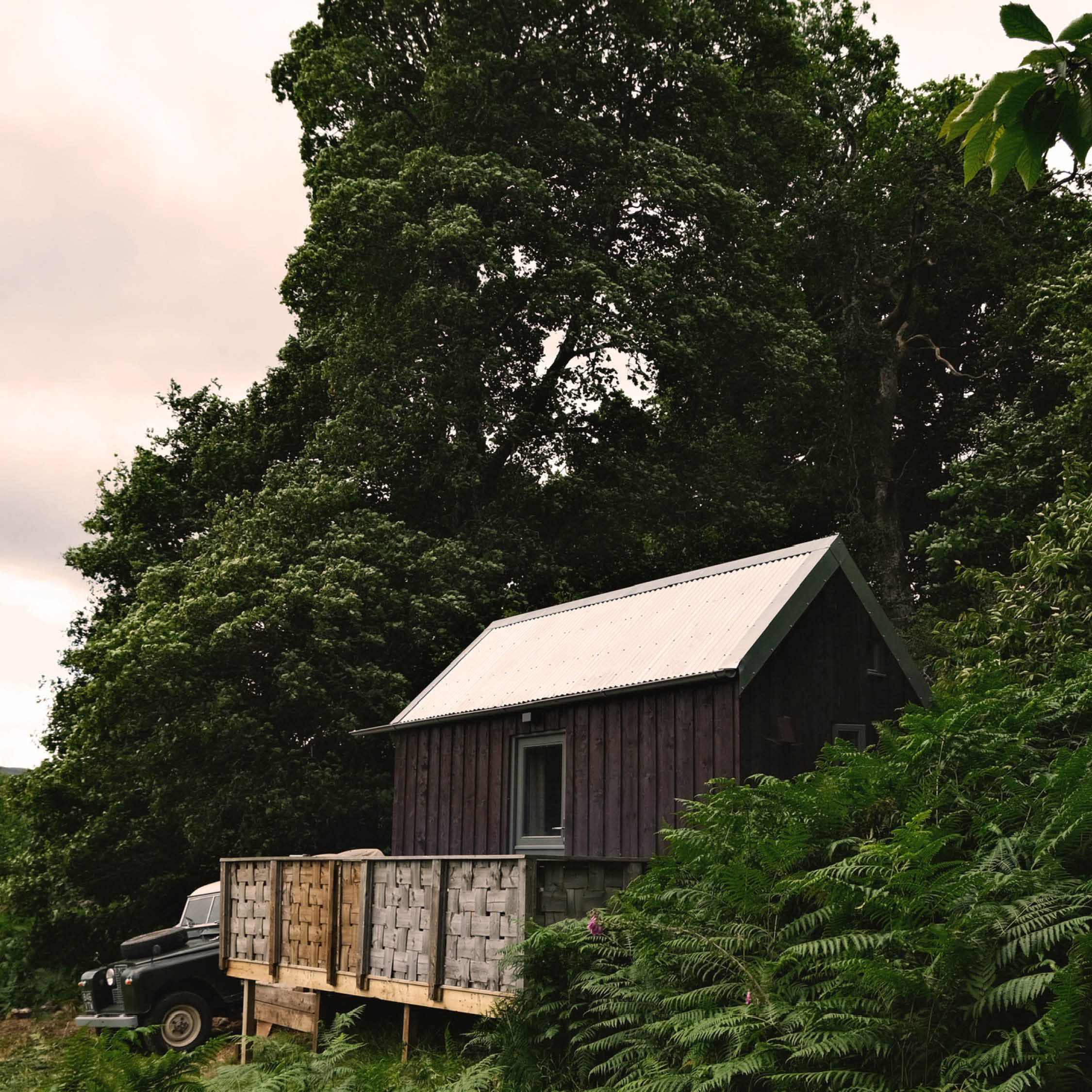 A small wooden house with a metal roof is surrounded by green trees and bushes with purple flowers. A black vehicle is parked on the left side of the house.
