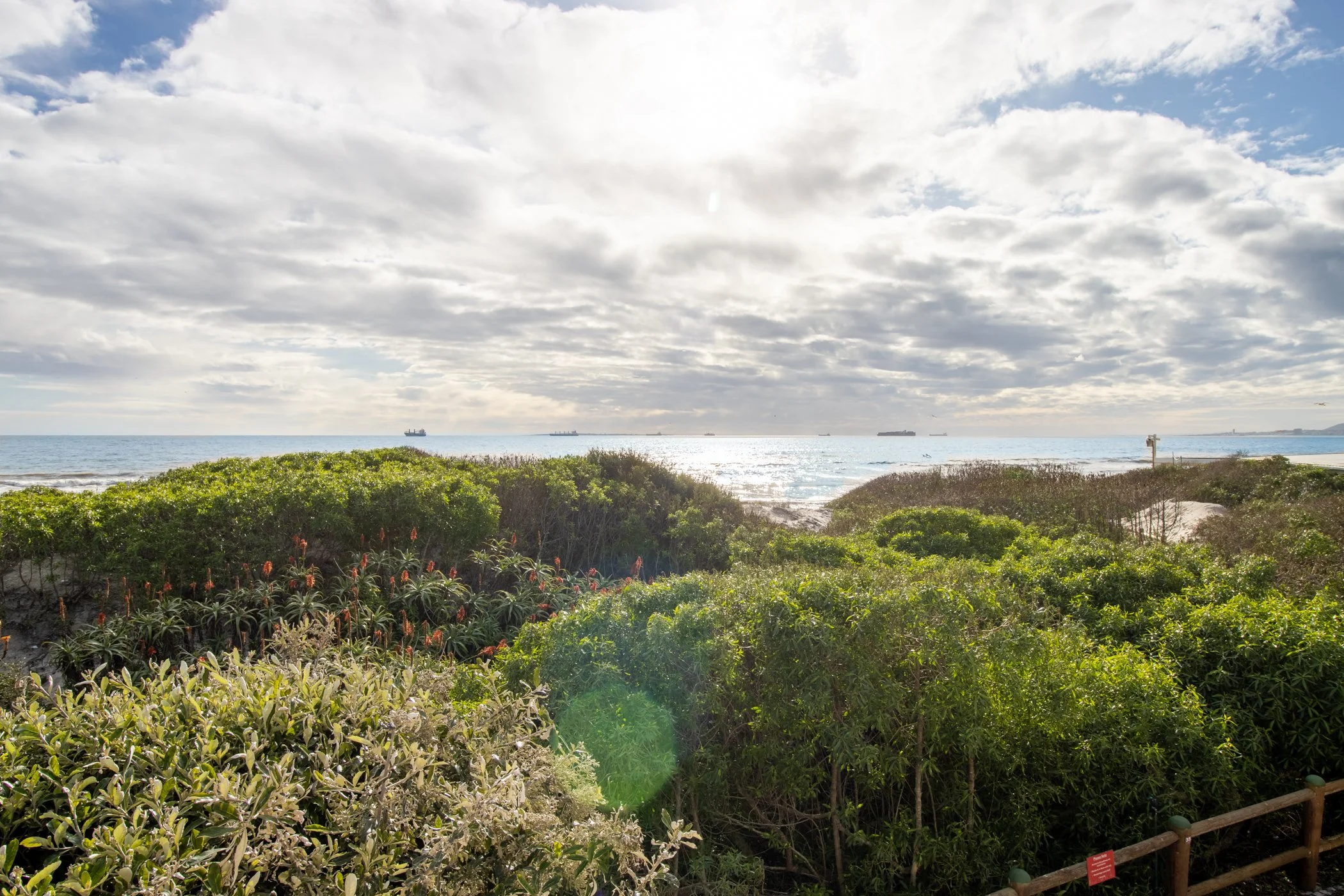 IMG_8217-HDR.jpg