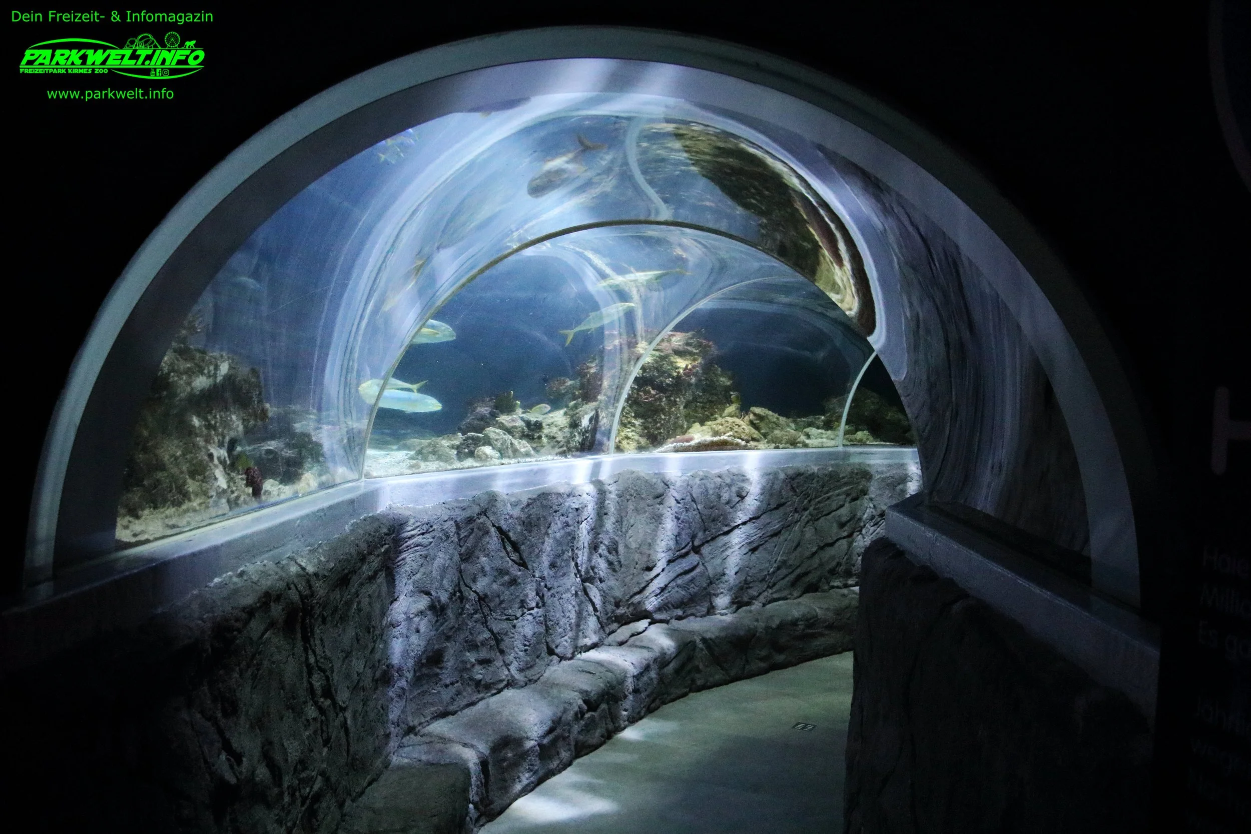 sea life speyer rheinland pfalz ausflugsziel aquarium info news bilder adresse merlin rabatt parkplatz adresse preise