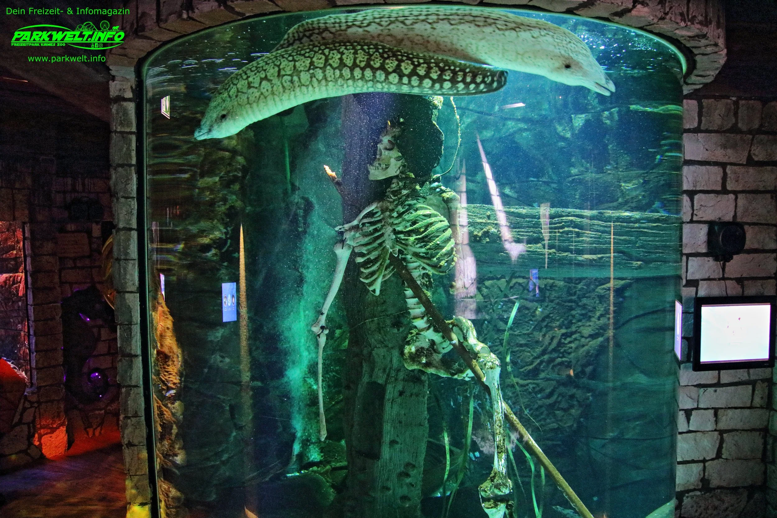 sea life speyer rheinland pfalz ausflugsziel aquarium info news bilder adresse merlin rabatt parkplatz adresse preise