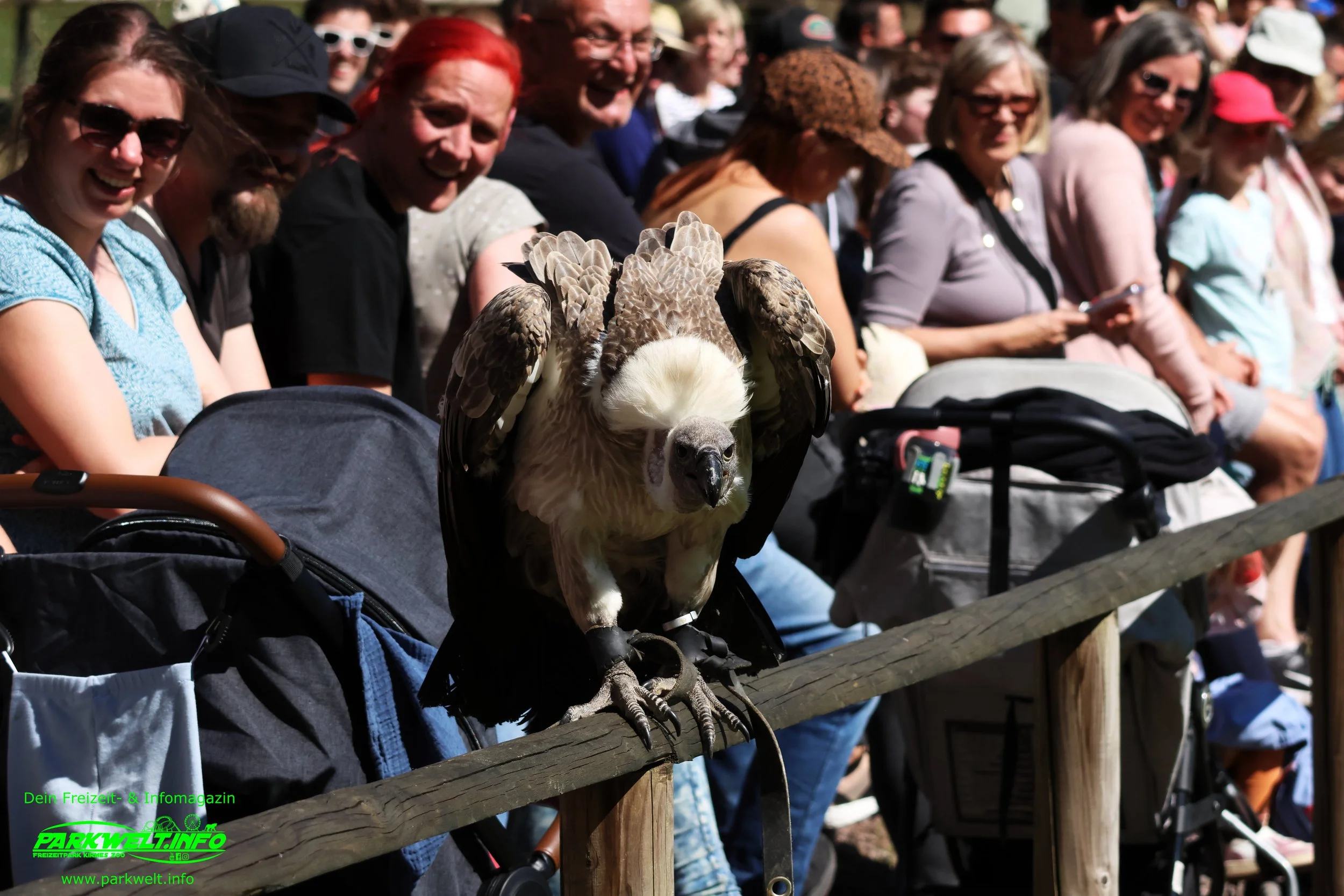 Kurpfalz Park Freizeitpark Wachenheim Tiere Attraktionen Wildpark
