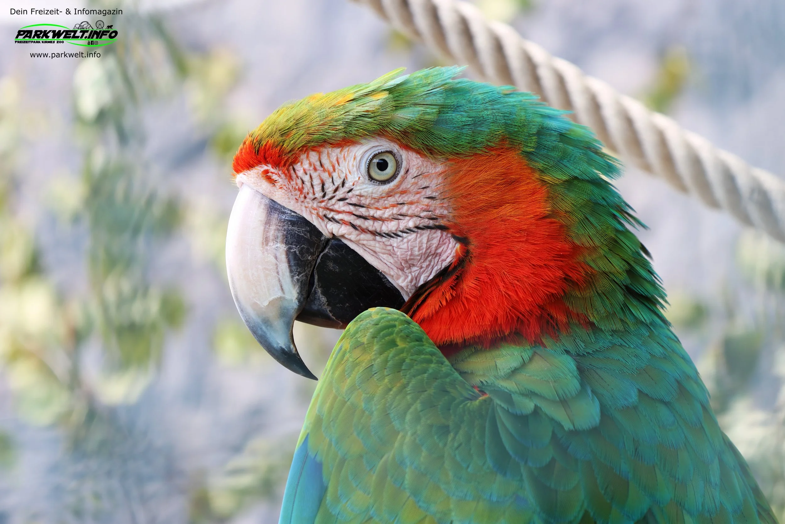 Erlebnispark Memleben, Freizeitpark Sachsen-Anhalt, Familienpark, Mittelalterpark, Wikinger, Ritter, Freizeitpark Deutschland, Familienausflug, Freizeitpark mit Geschichte, Attraktionen für Kinder, Ausflug Sachsen-Anhalt