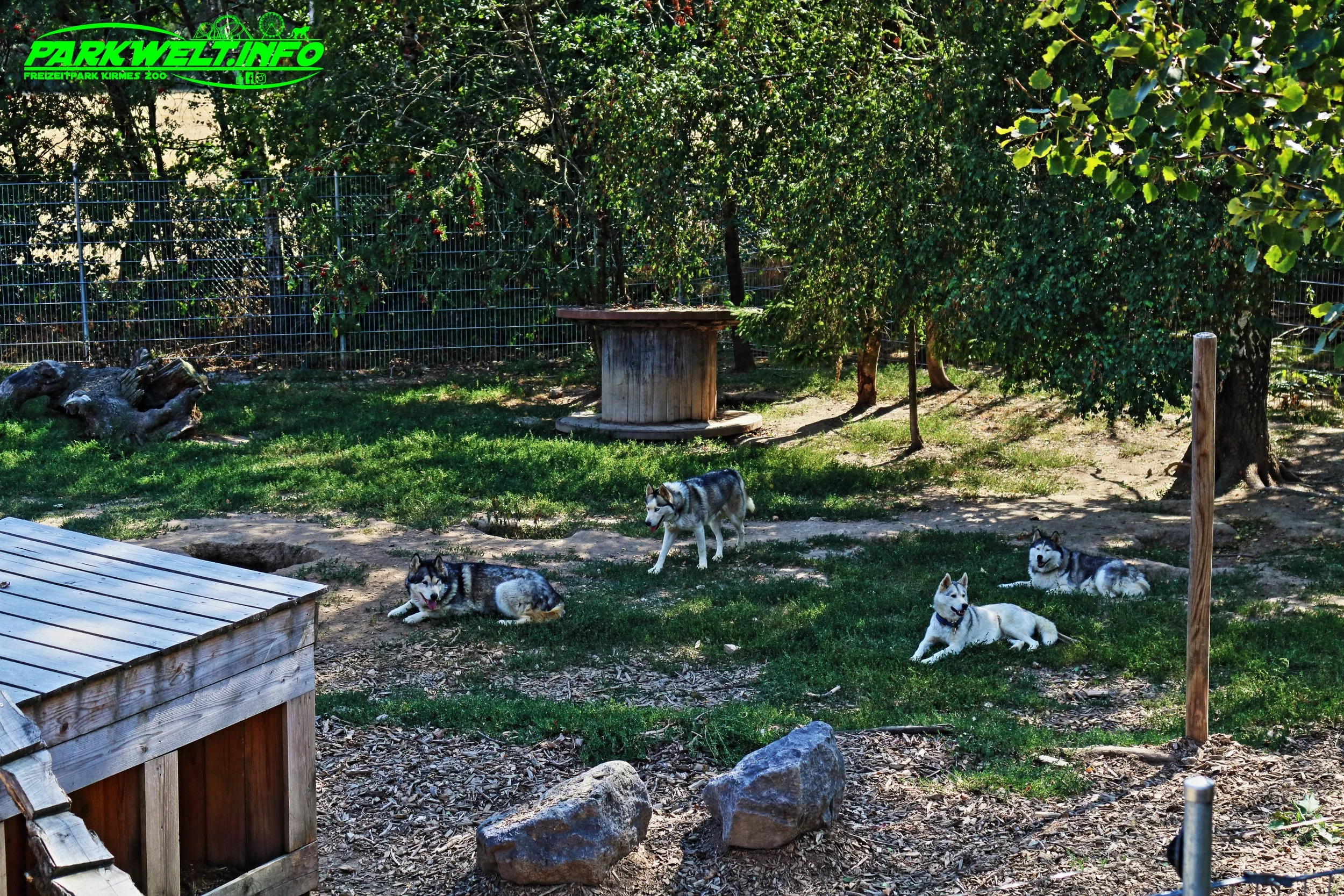 Tier Erlebnispark Bell Hunsrück Wildpark Zoo Tiere Attraktionen Adresse Preise Info Nilder Park Plan Map Guide Husky Show