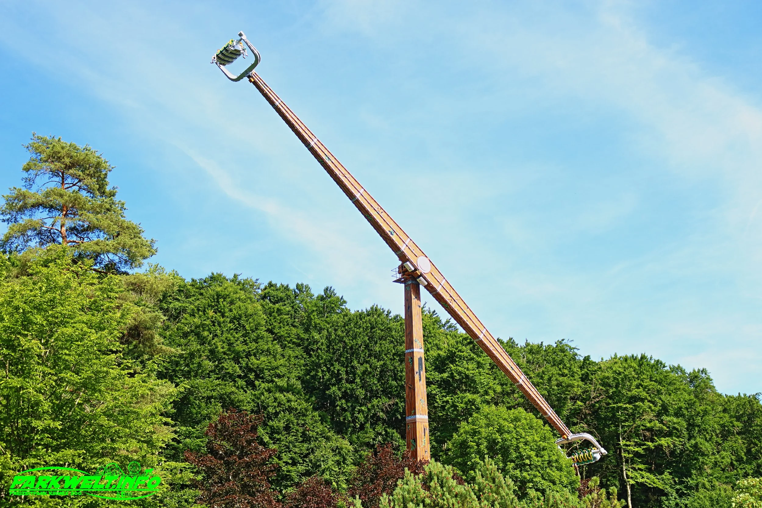 Platzhirsch