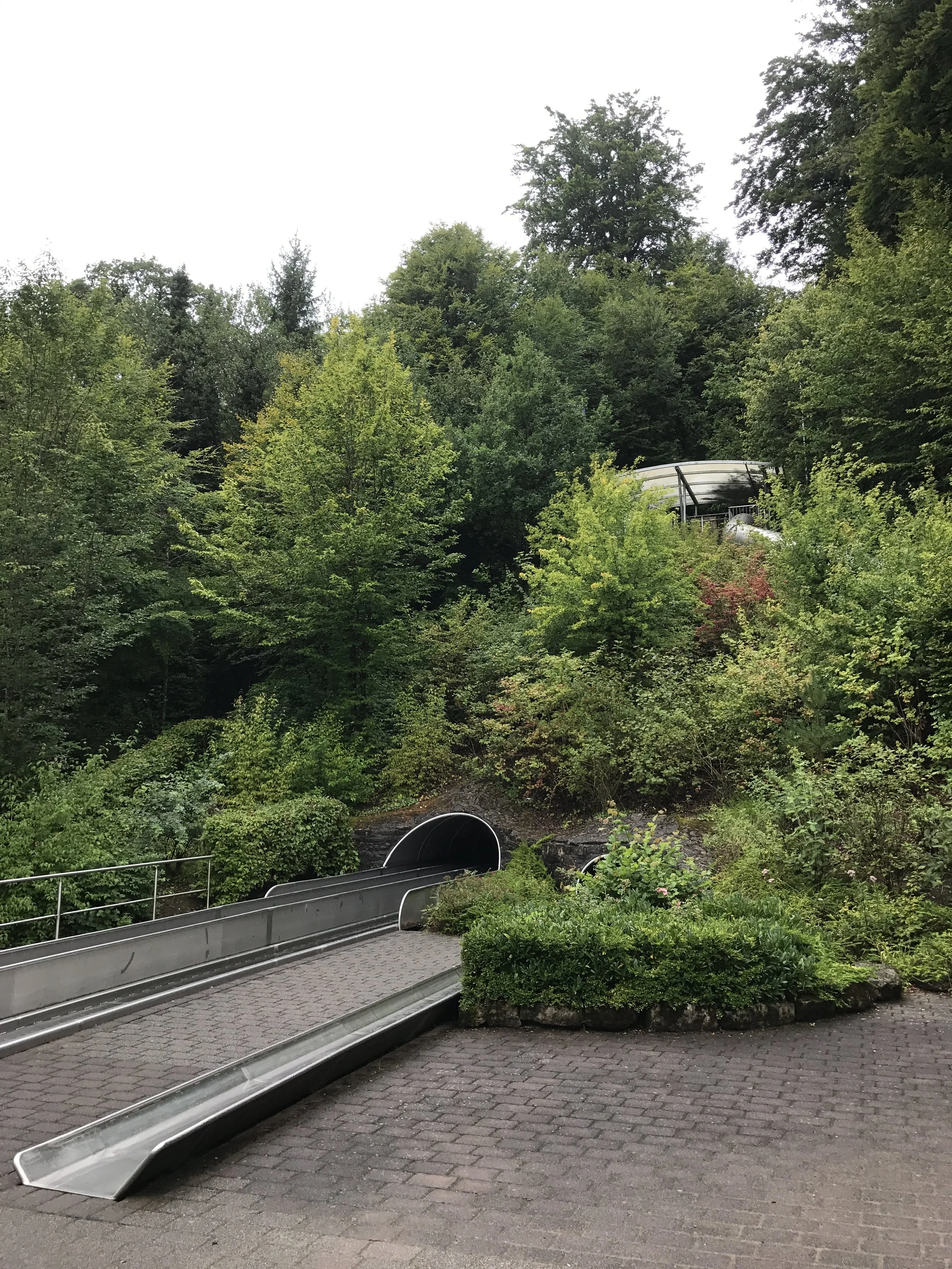 IMG_0800.JPG