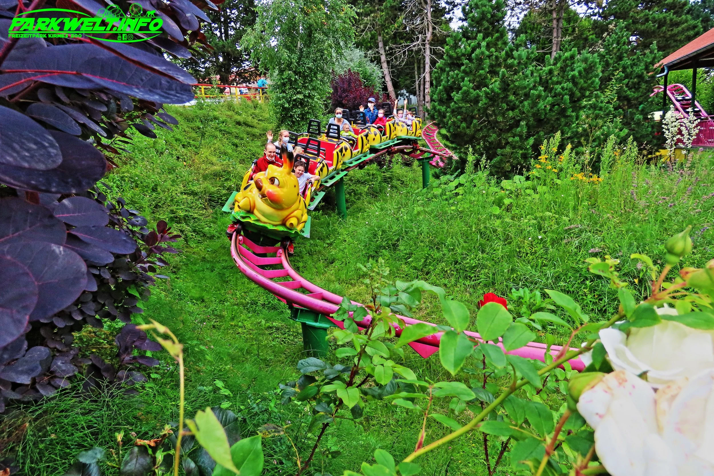 Raupen Express
