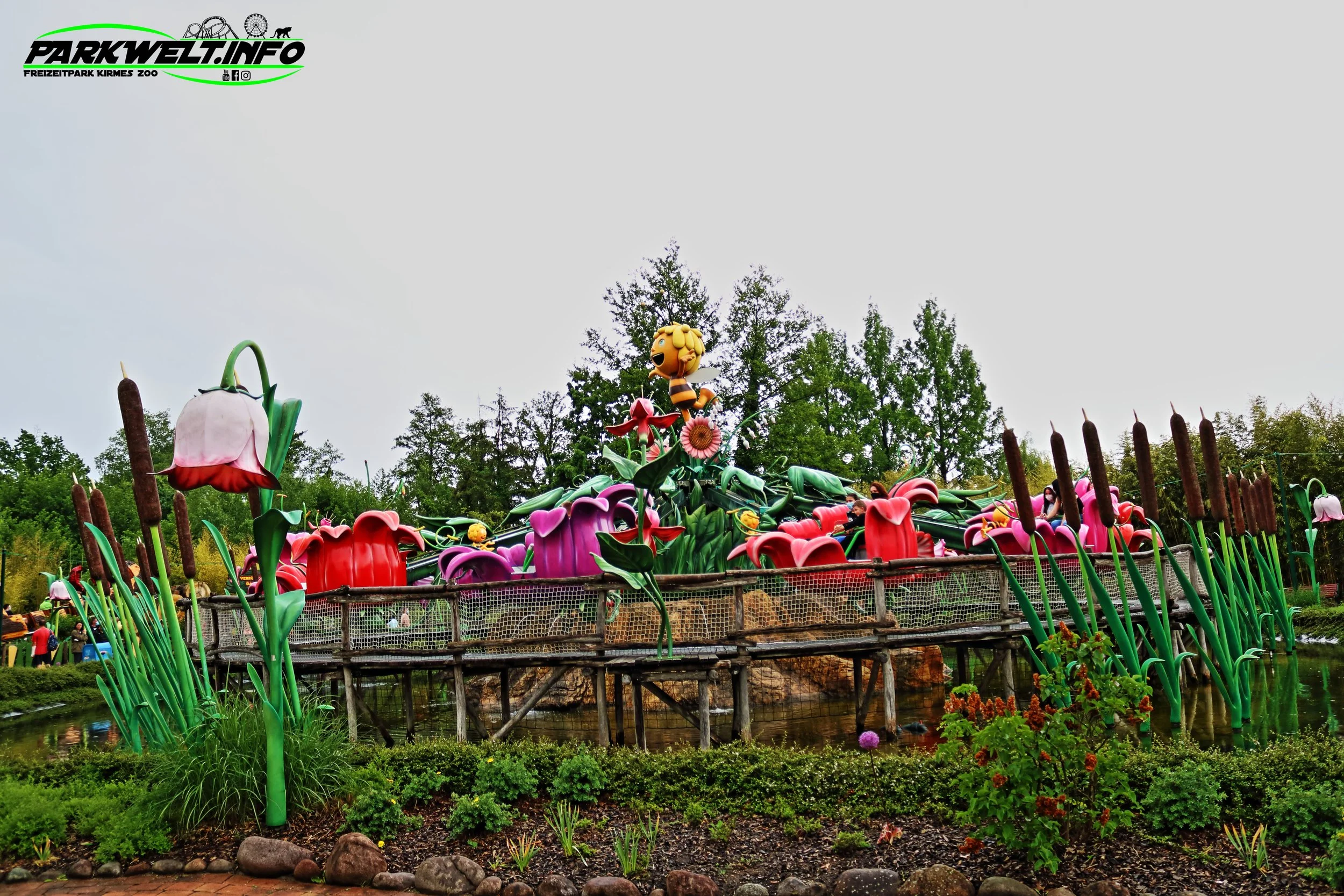 13a.JPG