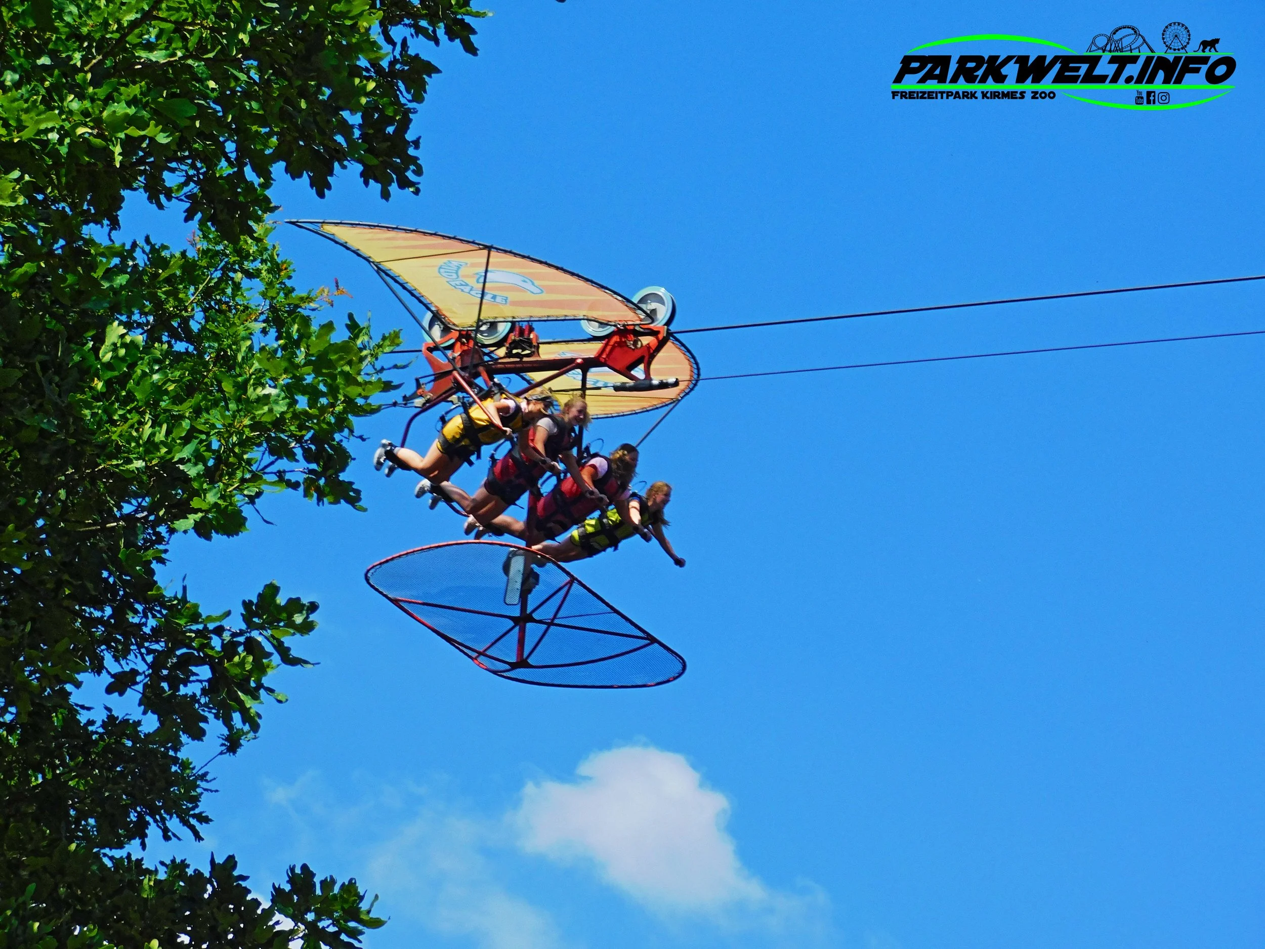 WILD EAGLE - Drachenflieger