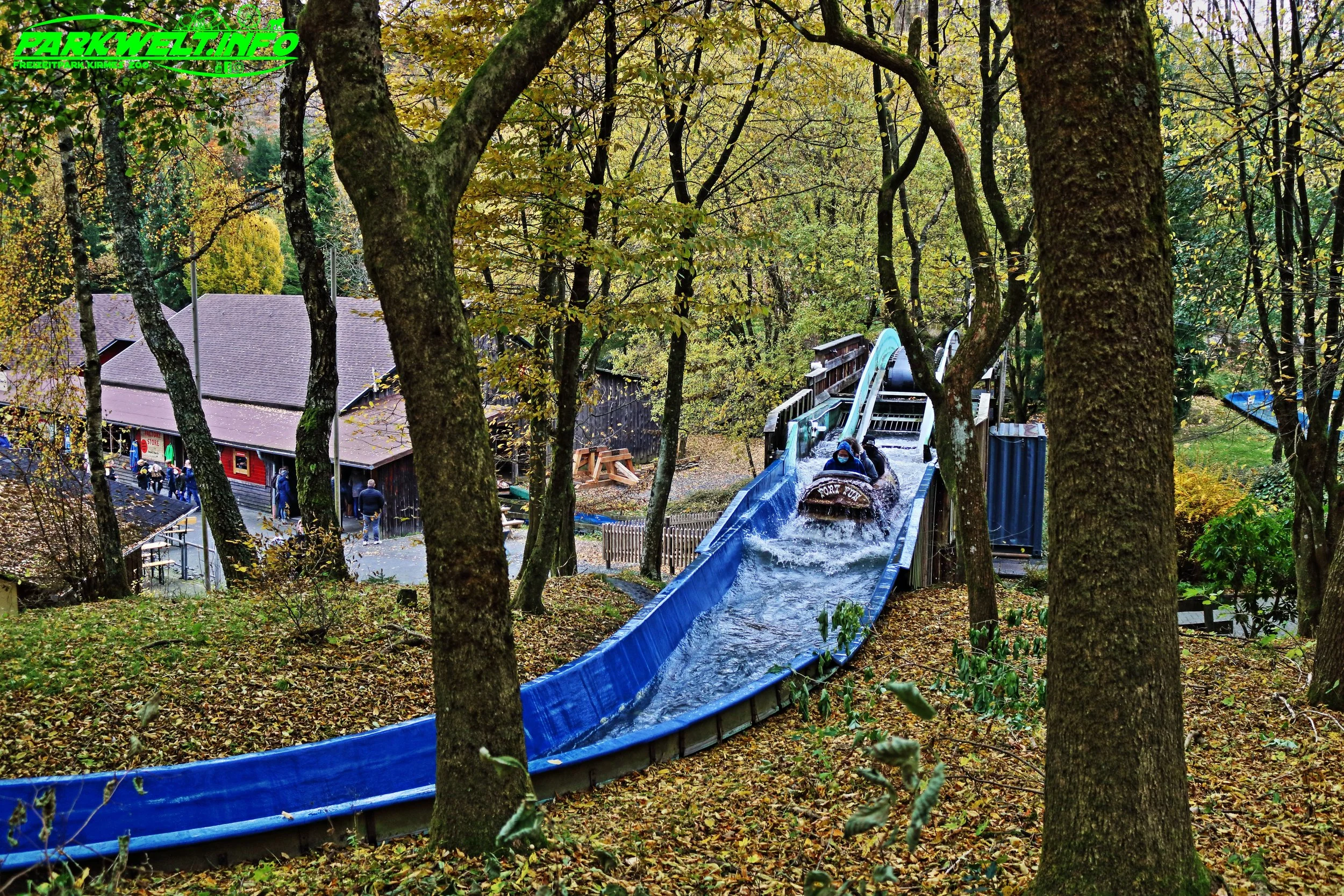 6c.JPG
