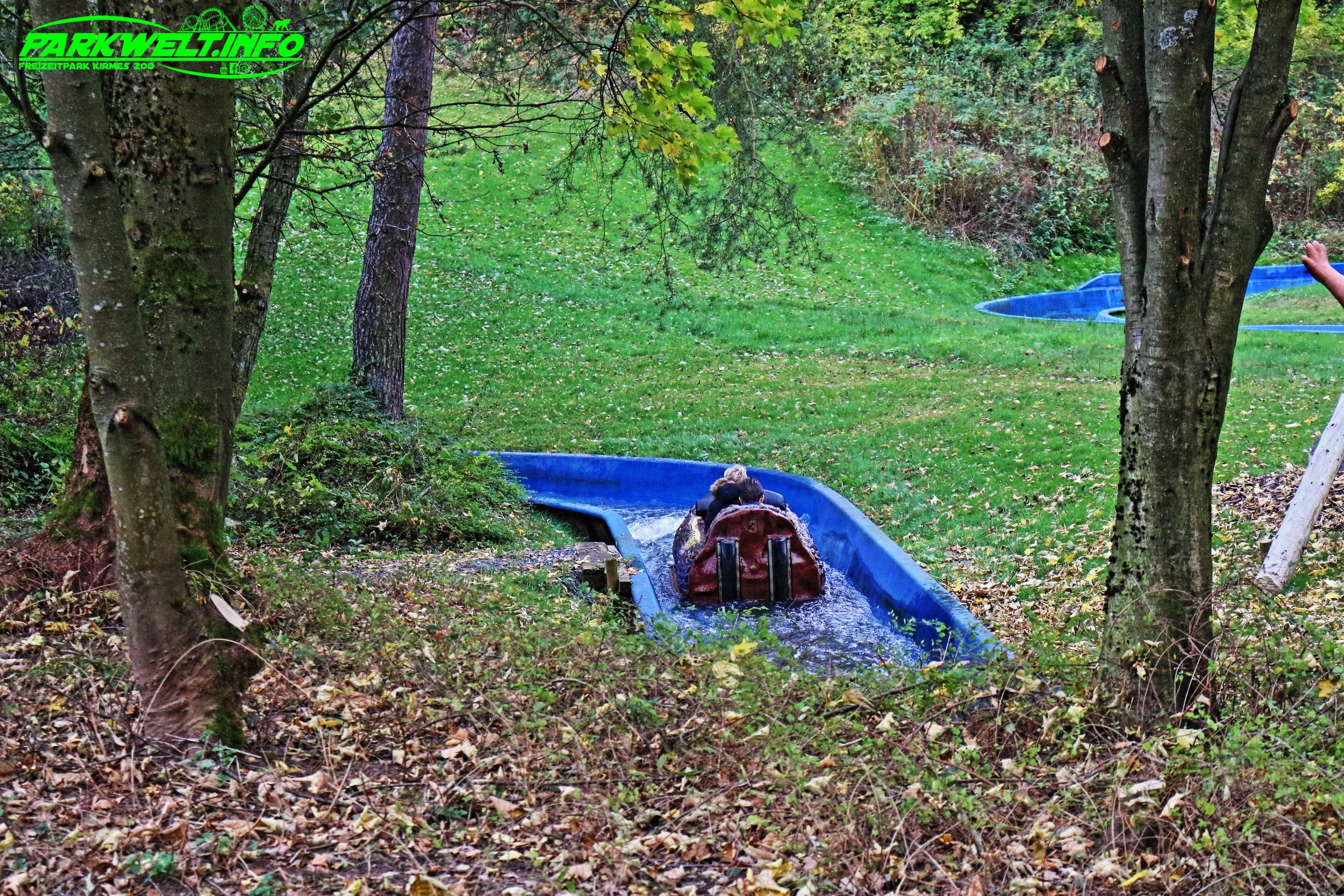 6f.JPG