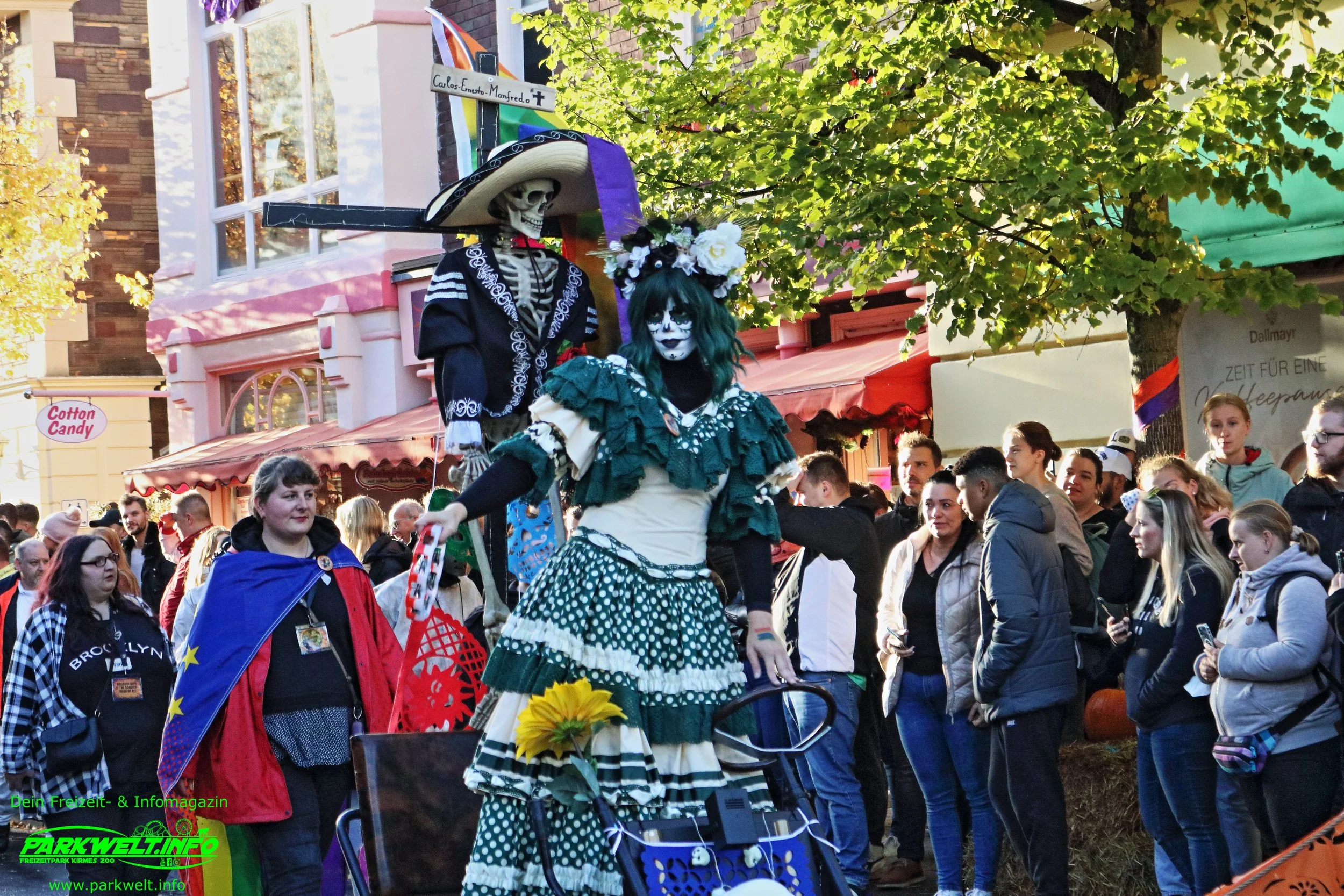 5a.JPG