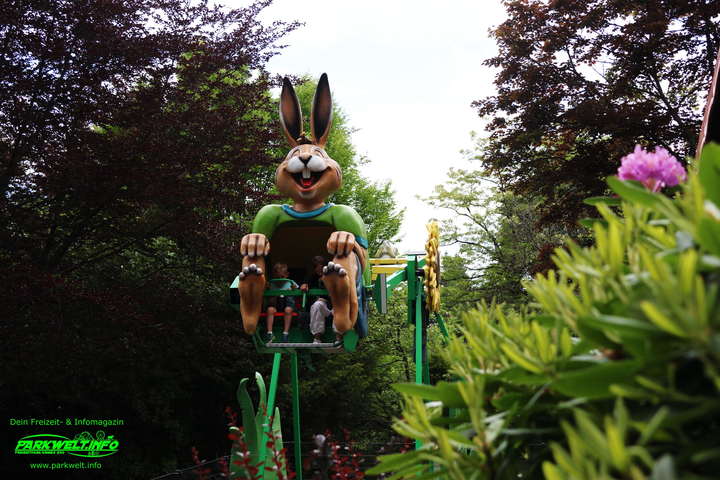 Bunny Loop