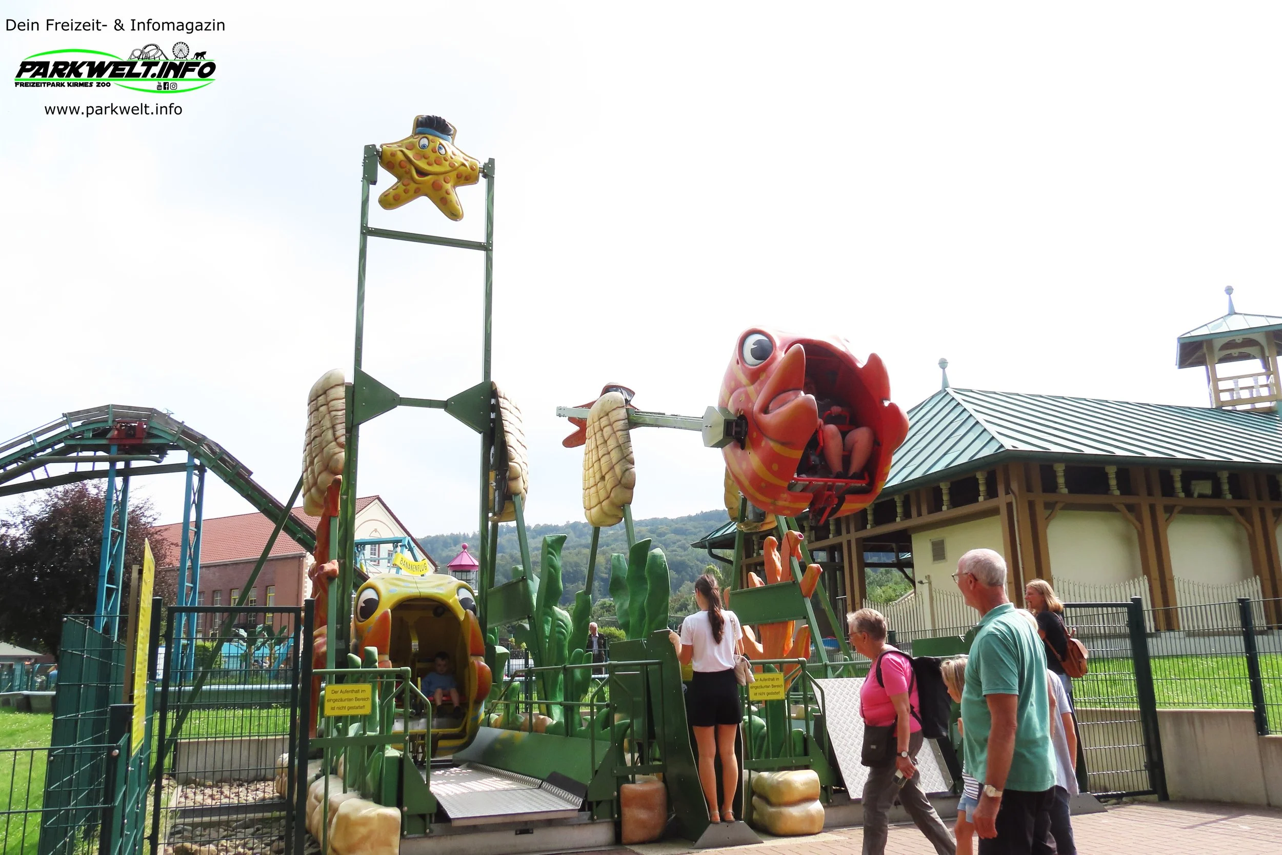 Fliegende Fische