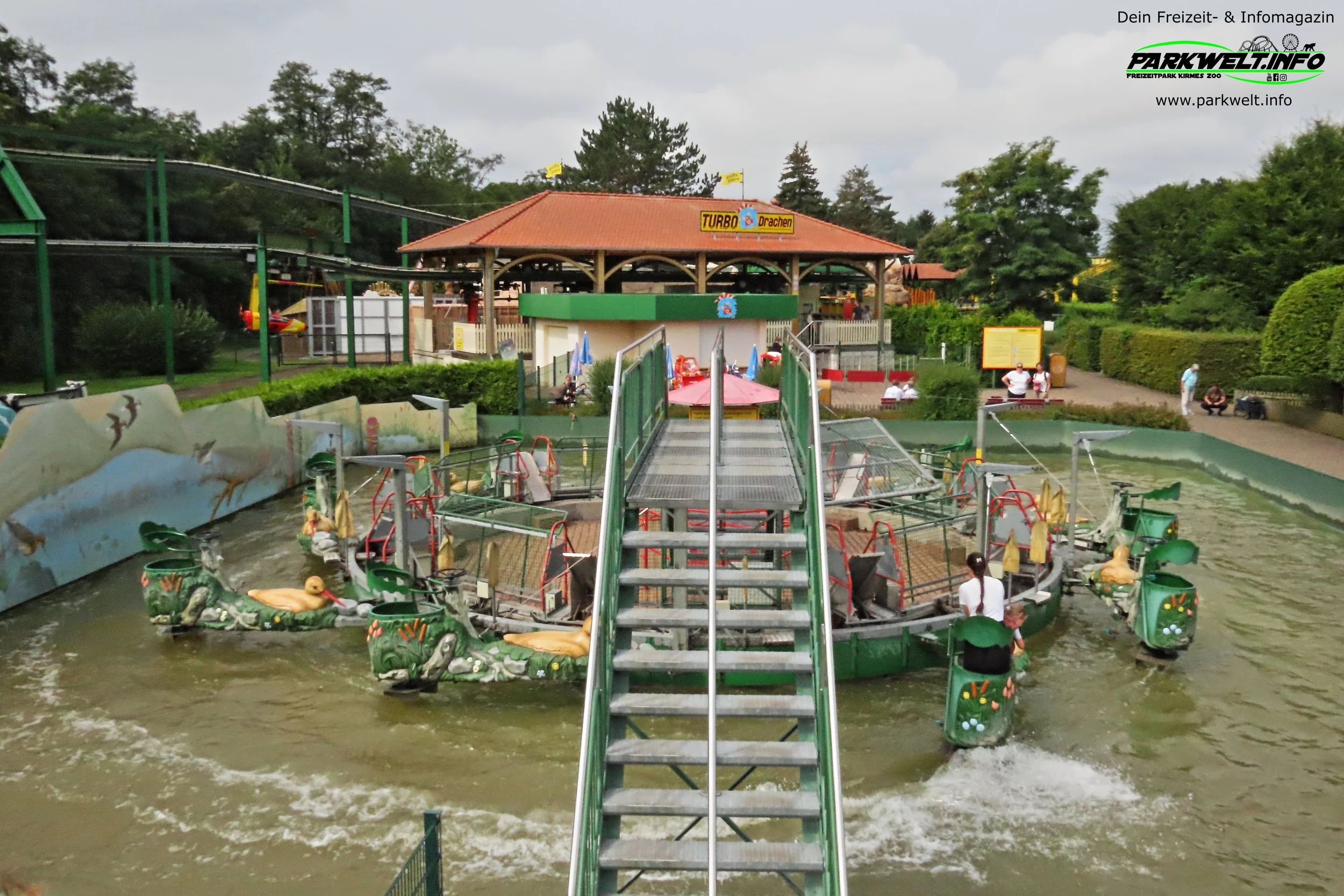Wasserläufer