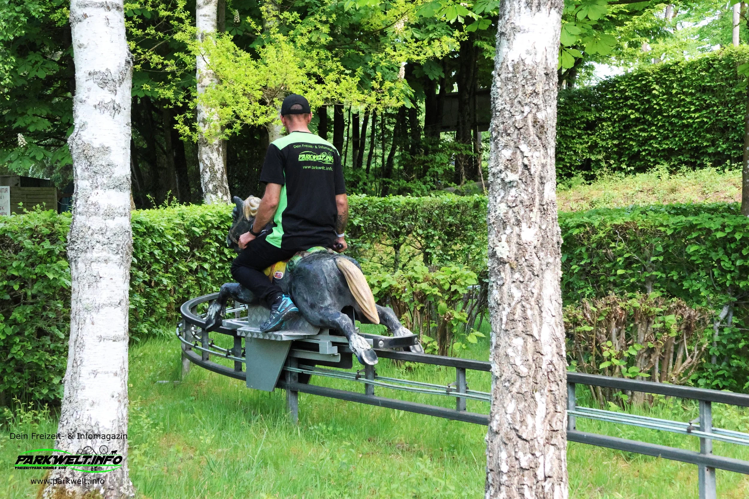 Pferdchen-Reitbahn