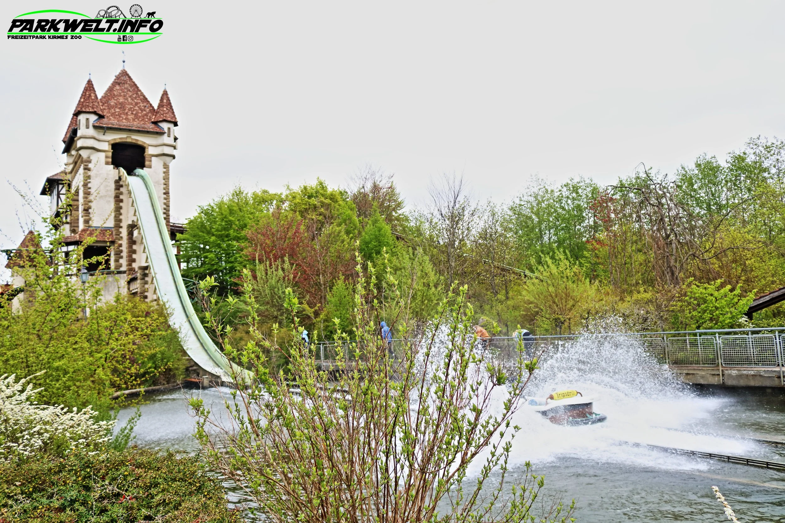 11f.JPG
