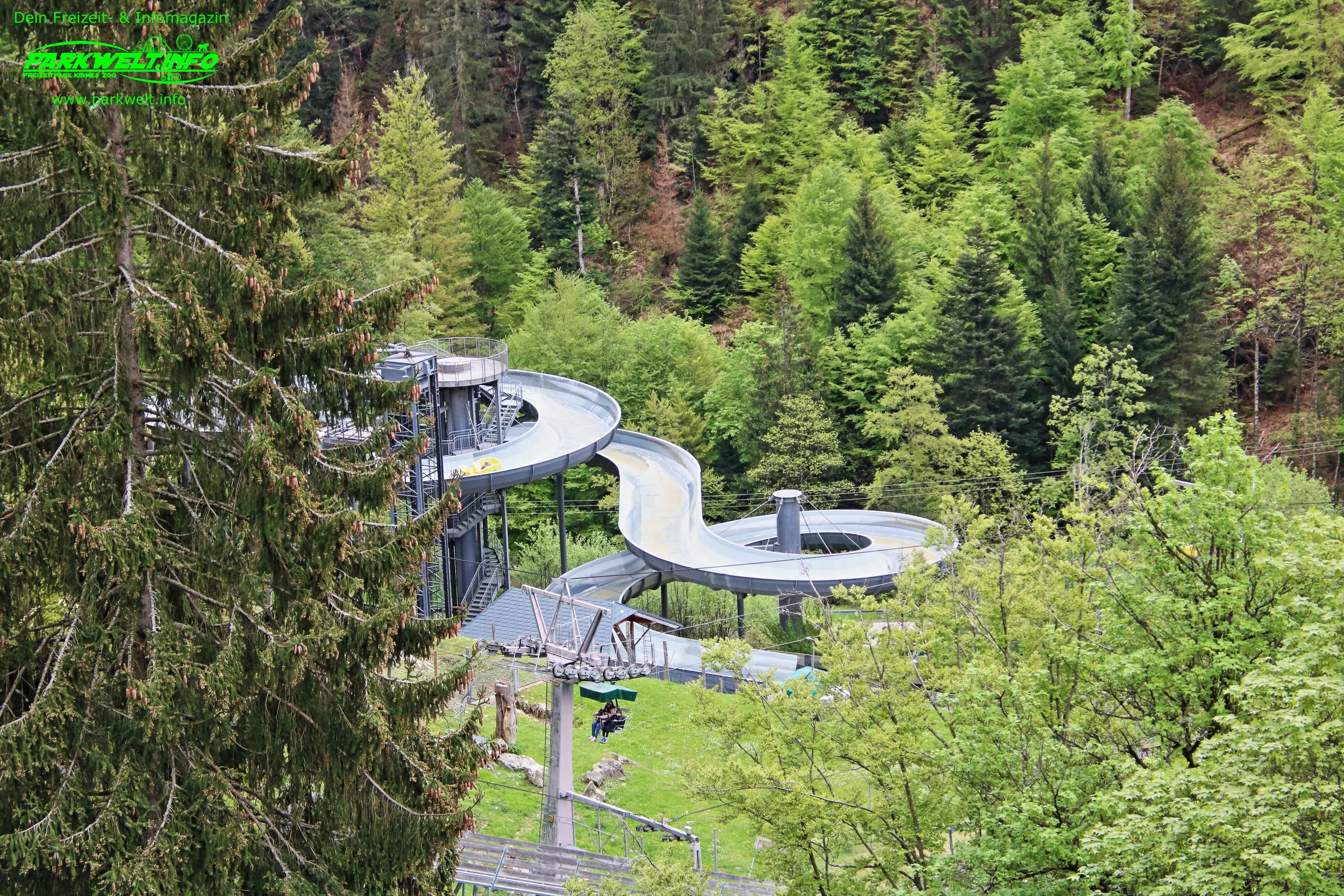 6f.JPG