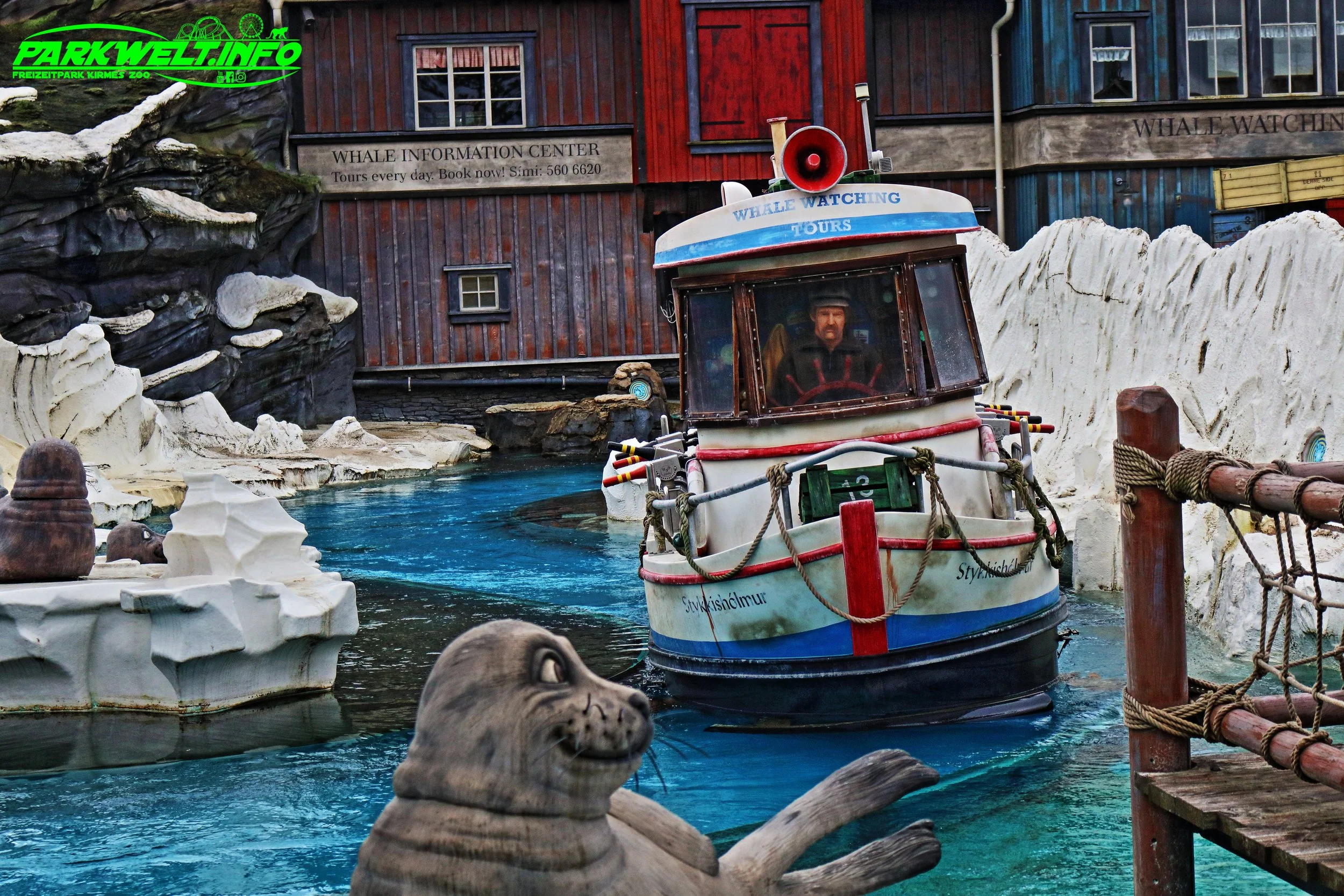 Whale Adventures - Northern Lights