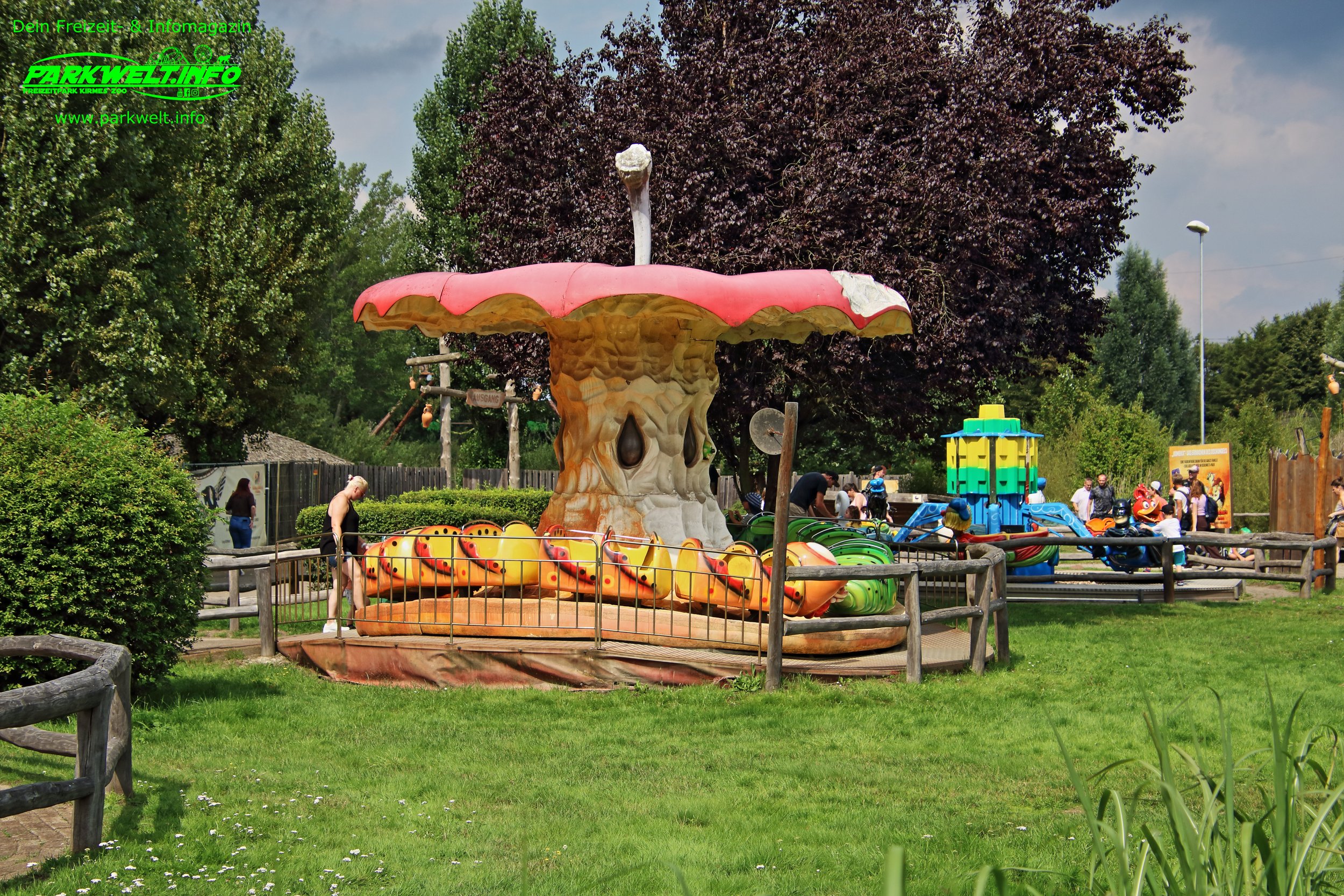 39.JPG