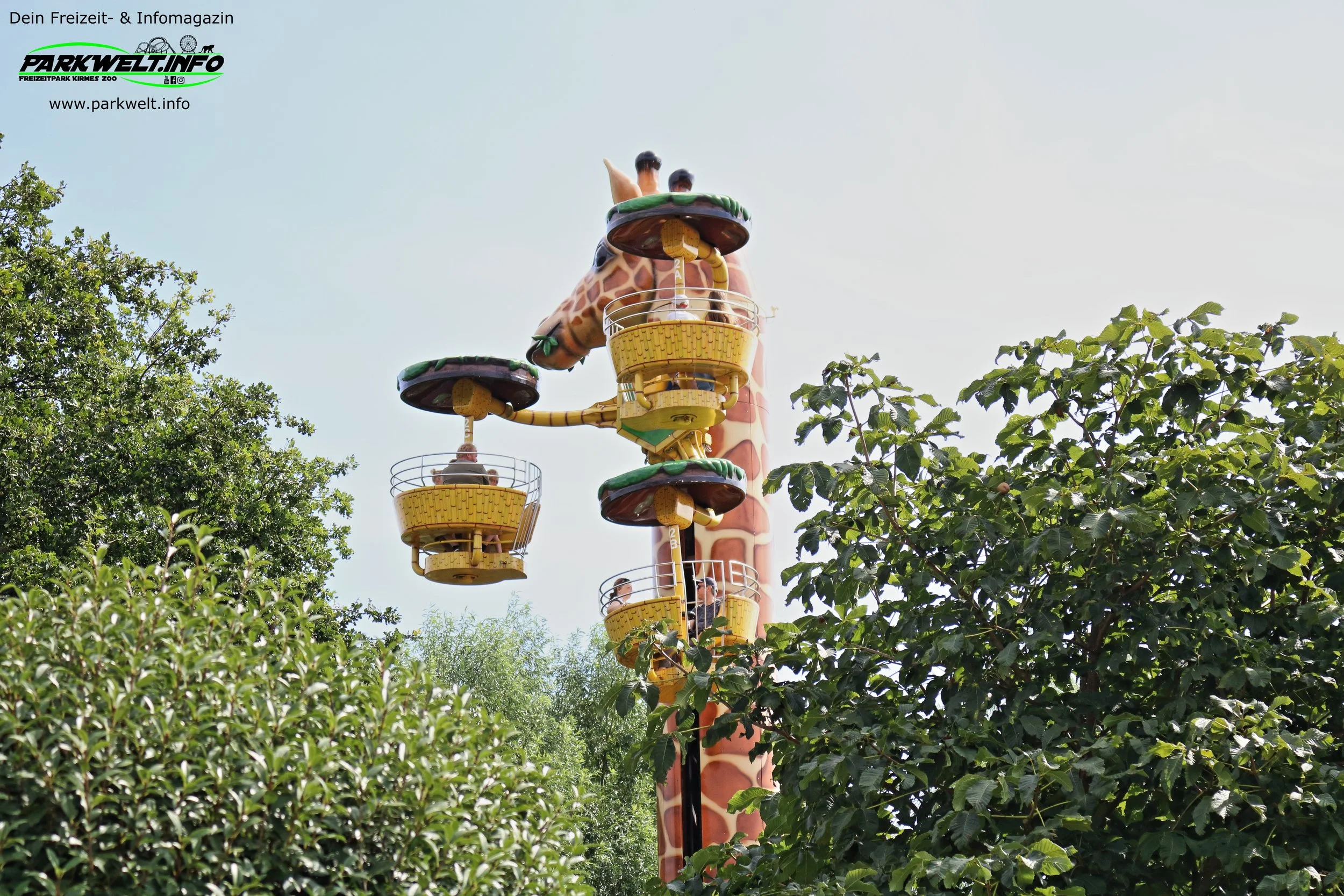 18b.JPG