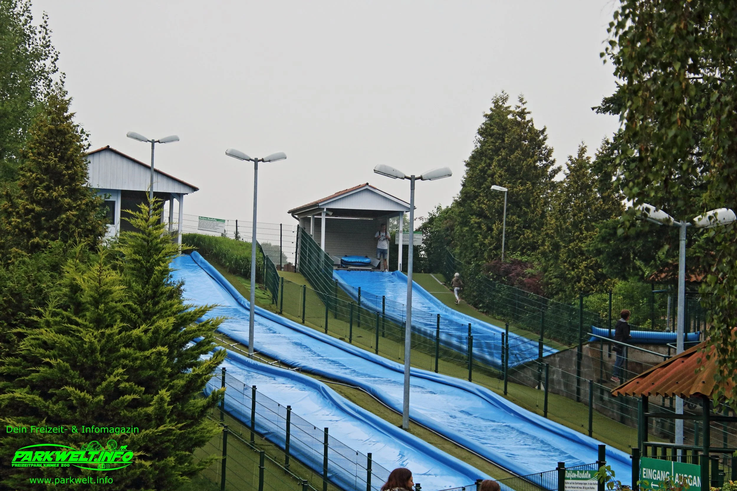 25.JPG