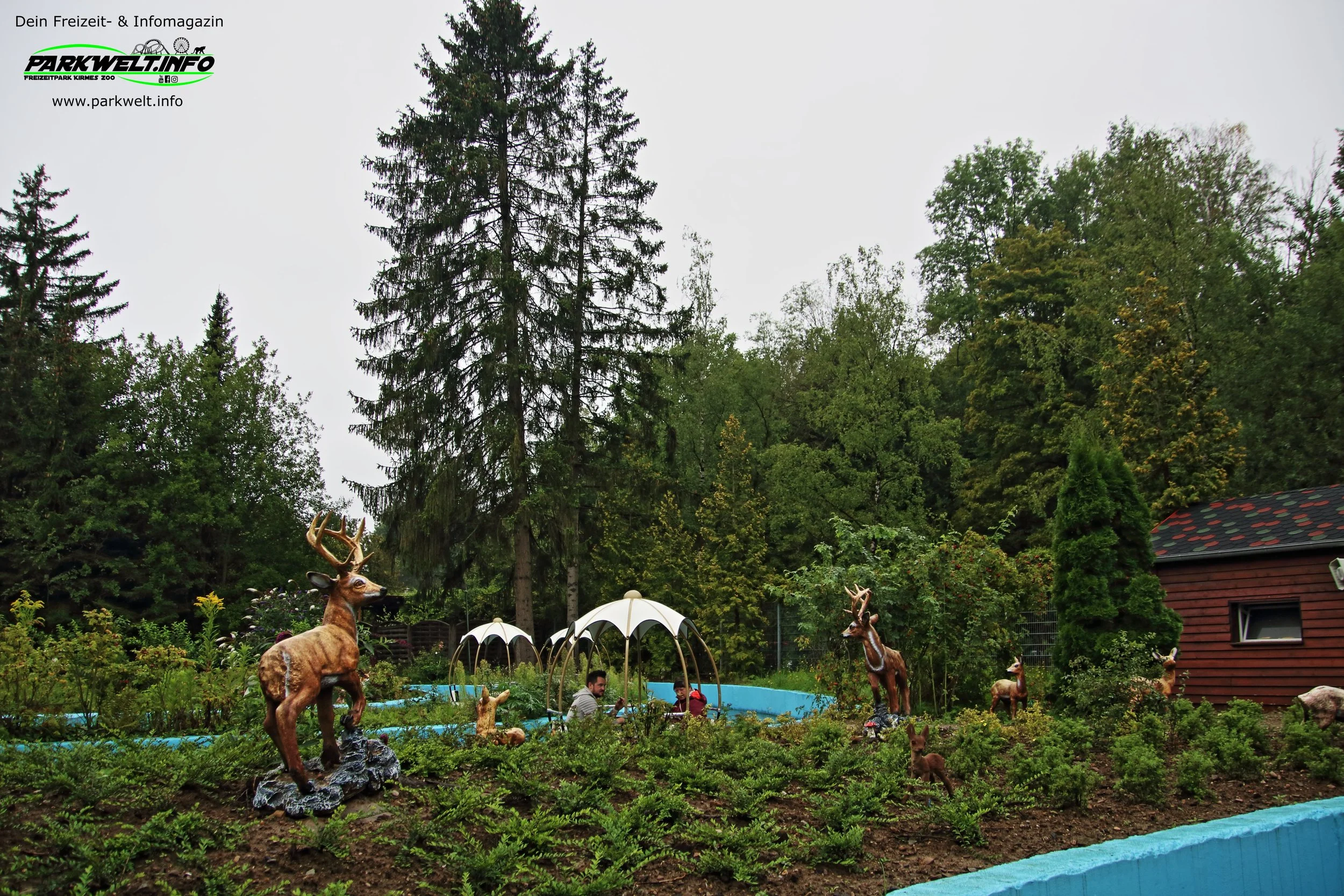 30.JPG